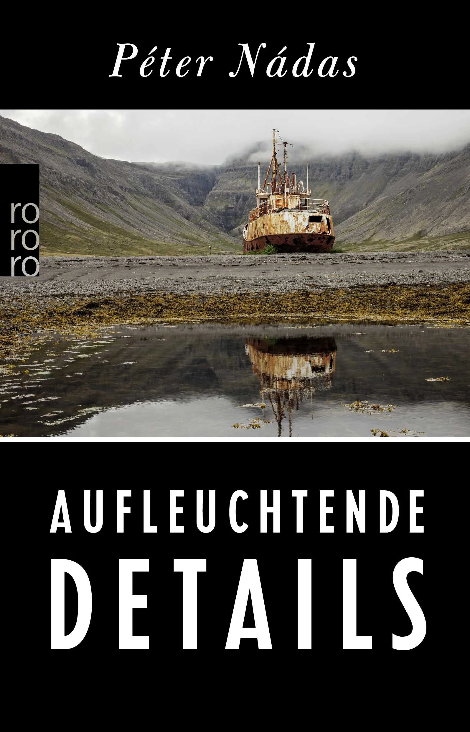 Buchcover von 'Aufleuchtende Details' - Taschenbuch von Péter Nádas