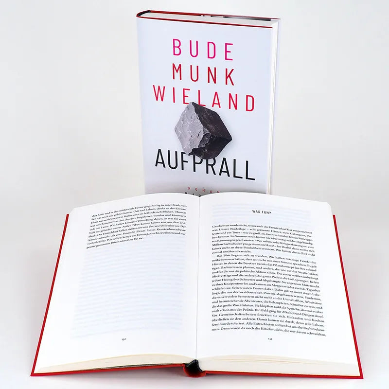 Heinz Bude - Aufprall
