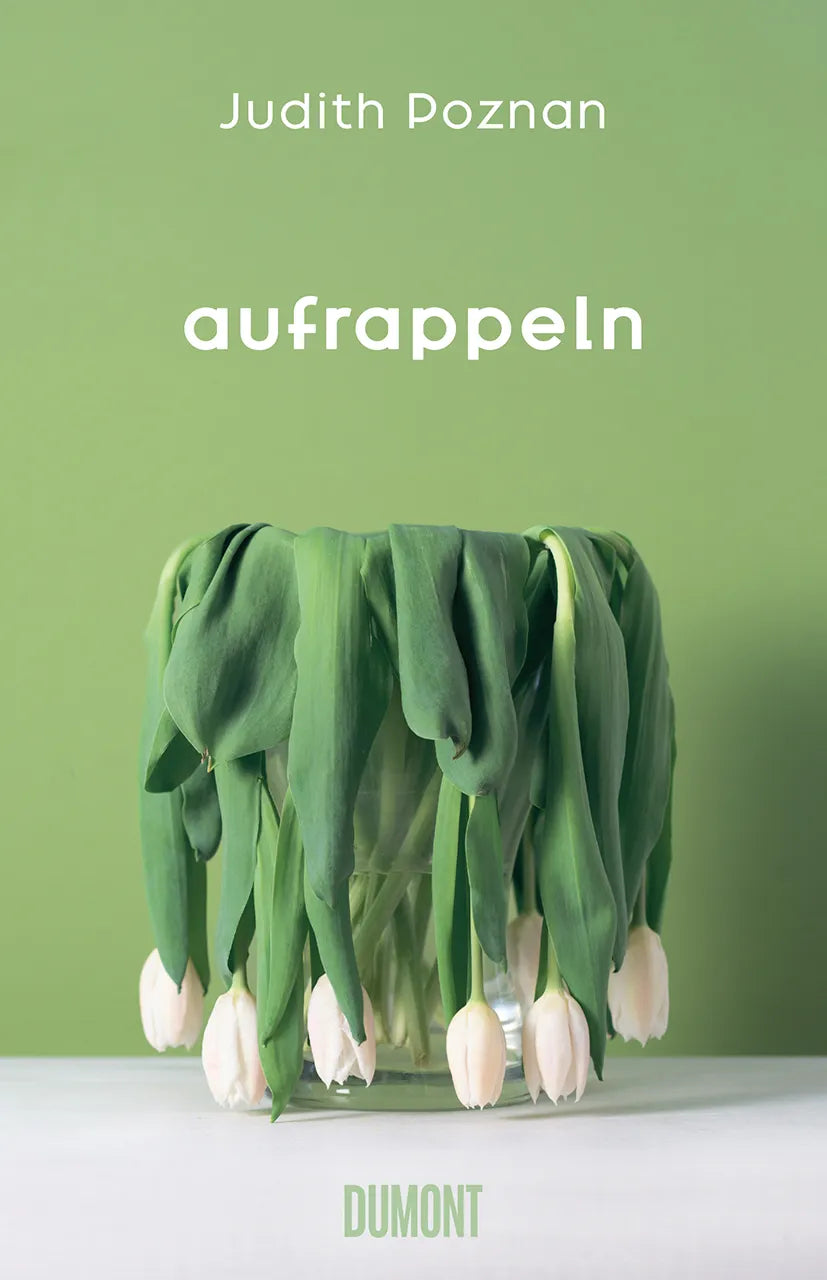 Buchcover von 'Aufrappeln' - Gebundene Ausgabe von Judith Poznan
