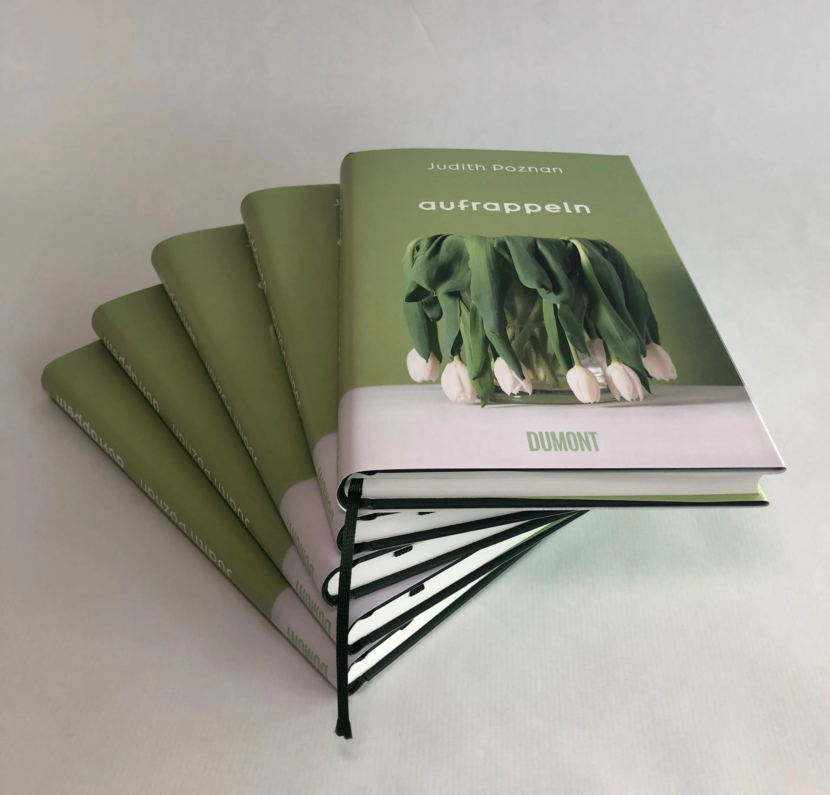 Produktansicht: Aufrappeln (Gebundene Ausgabe)