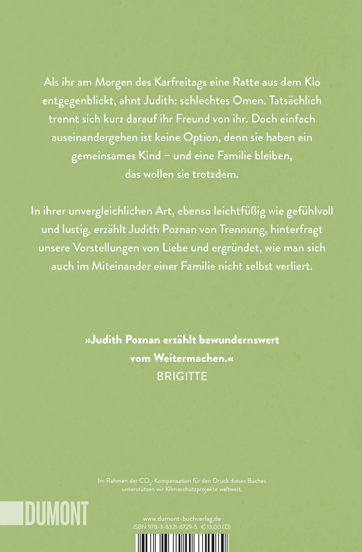 Buchrückseite von 'Aufrappeln' mit Klappentext - Taschenbuch
