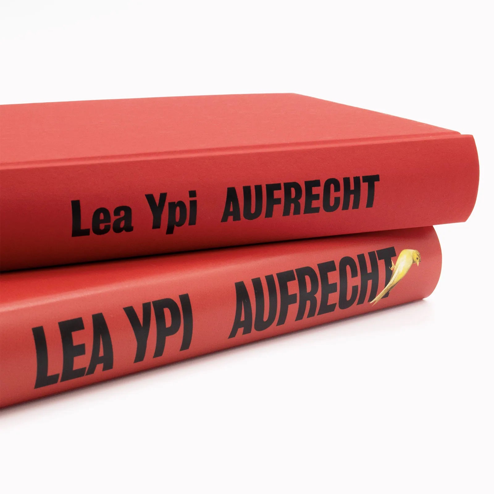 Detailansicht: Aufrecht (Hardcover)