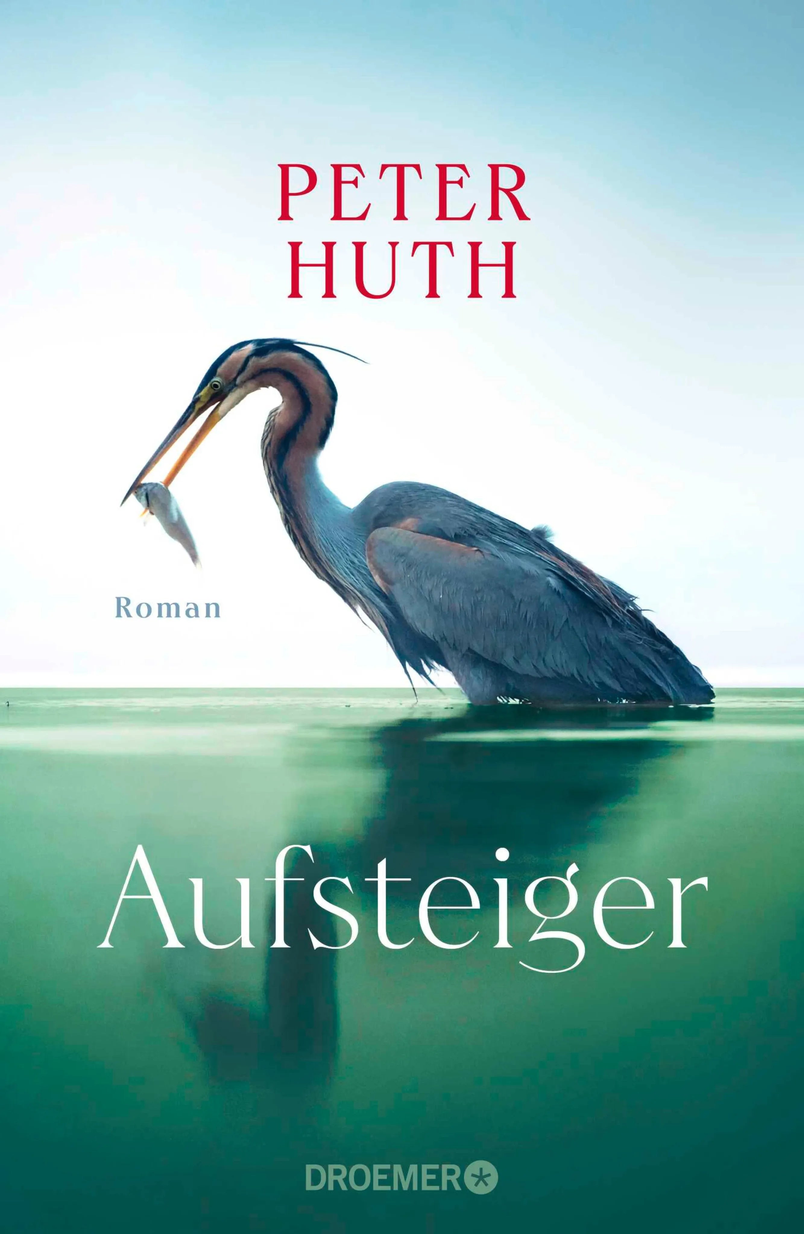 Cover: Aufsteiger (E-Book) von Peter Huth