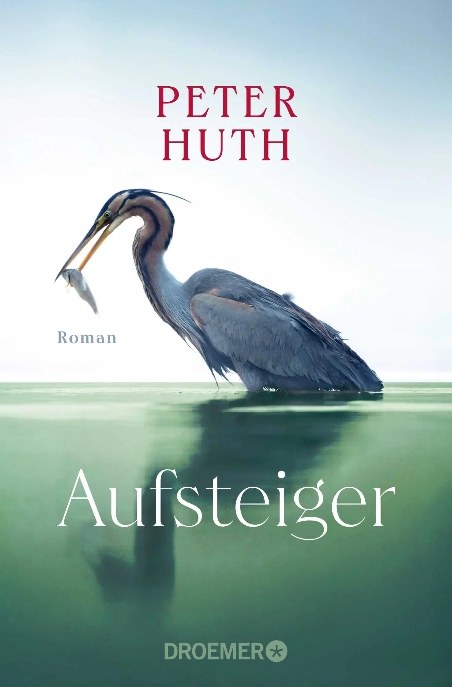 Cover: Aufsteiger (Taschenbuch) von Peter Huth
