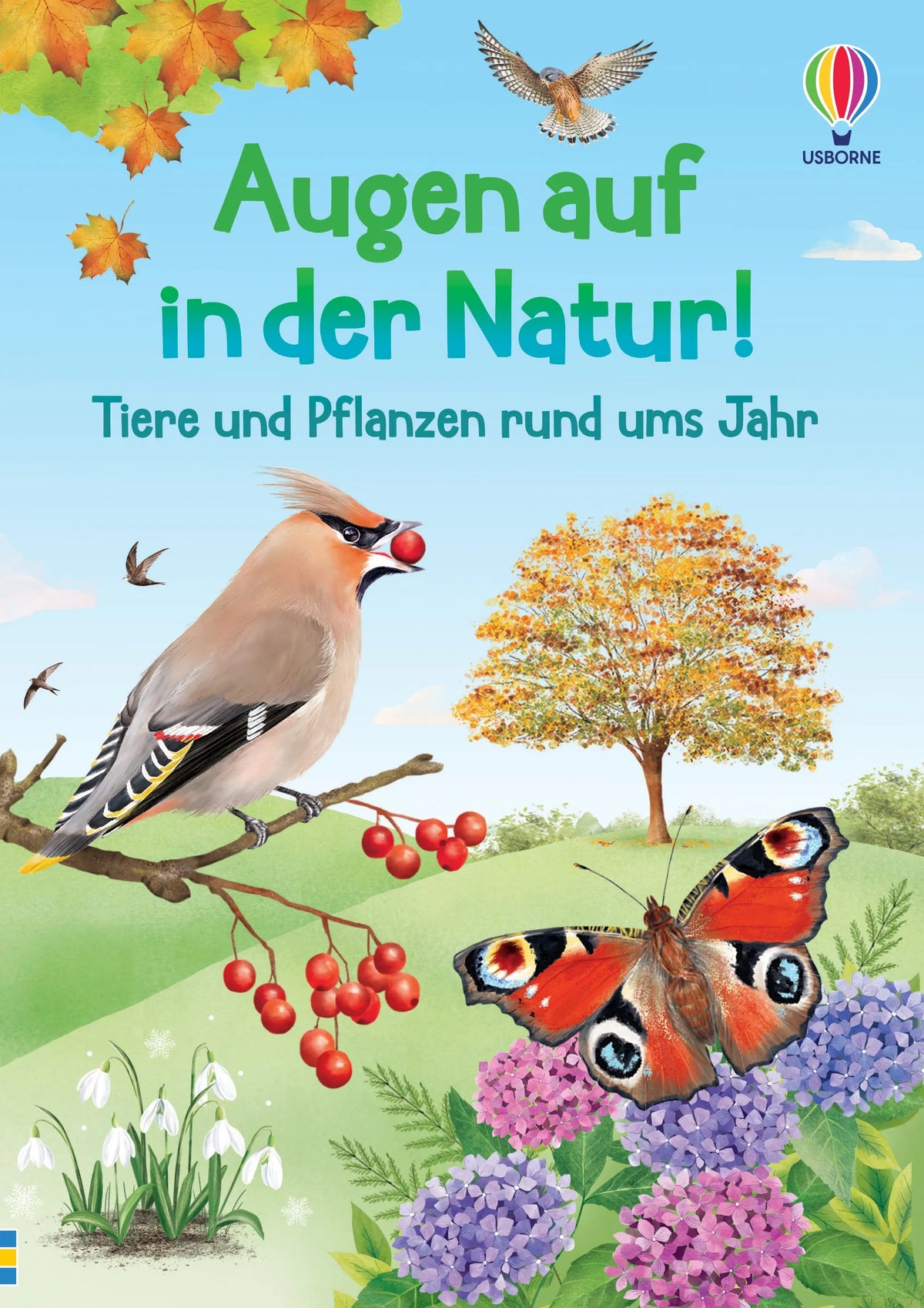 Cover: Augen auf in der Natur! (Taschenbuch) von Lara Bryan
