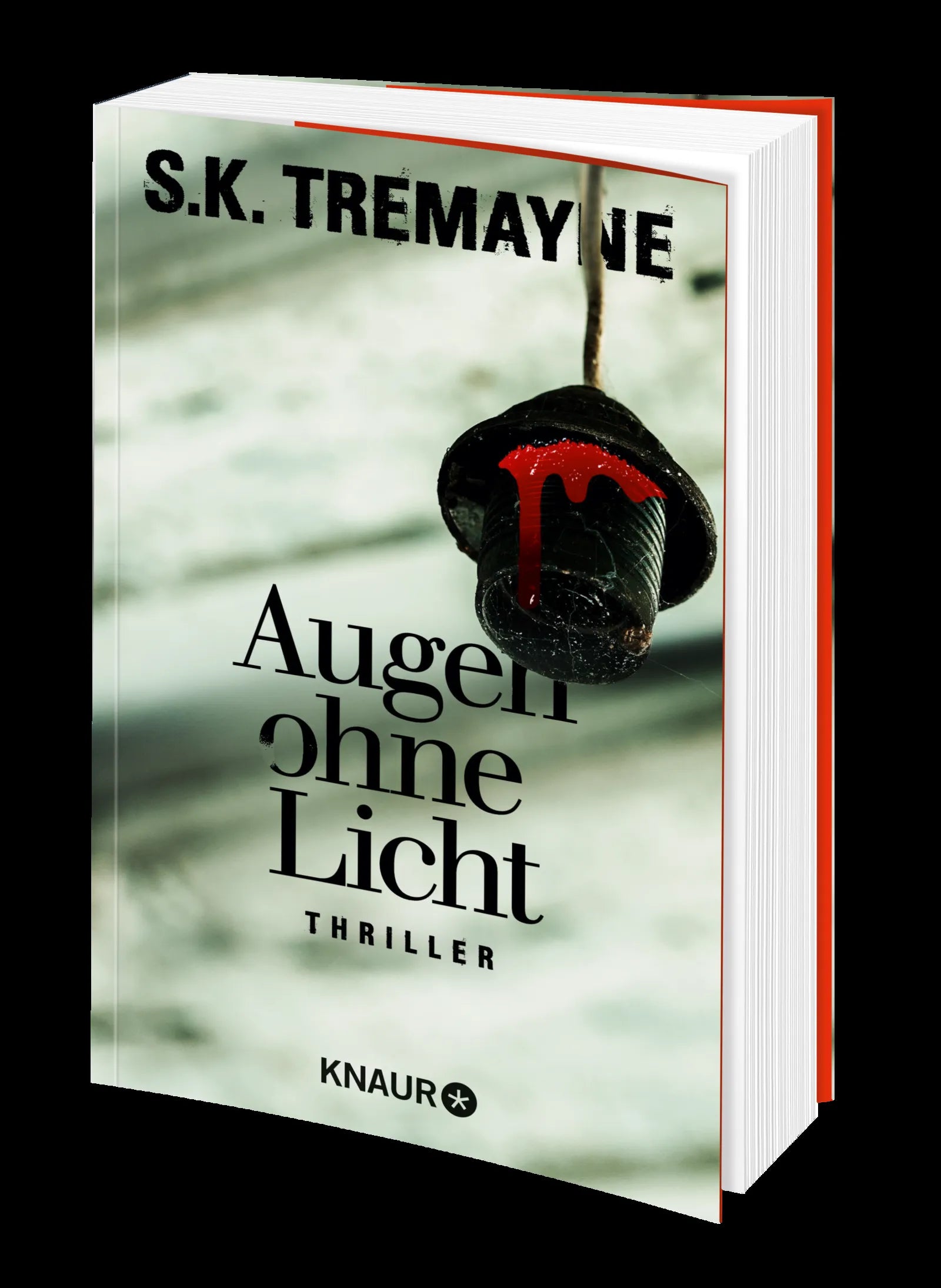 S. K. Tremayne - Augen ohne Licht