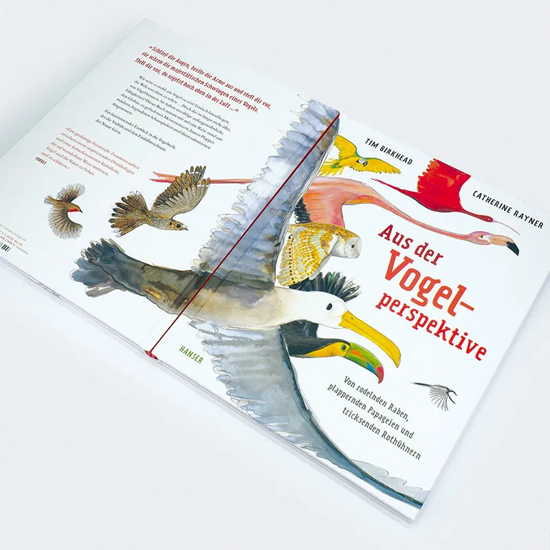 Produktansicht: Aus der Vogelperspektive (Gebundene Ausgabe)