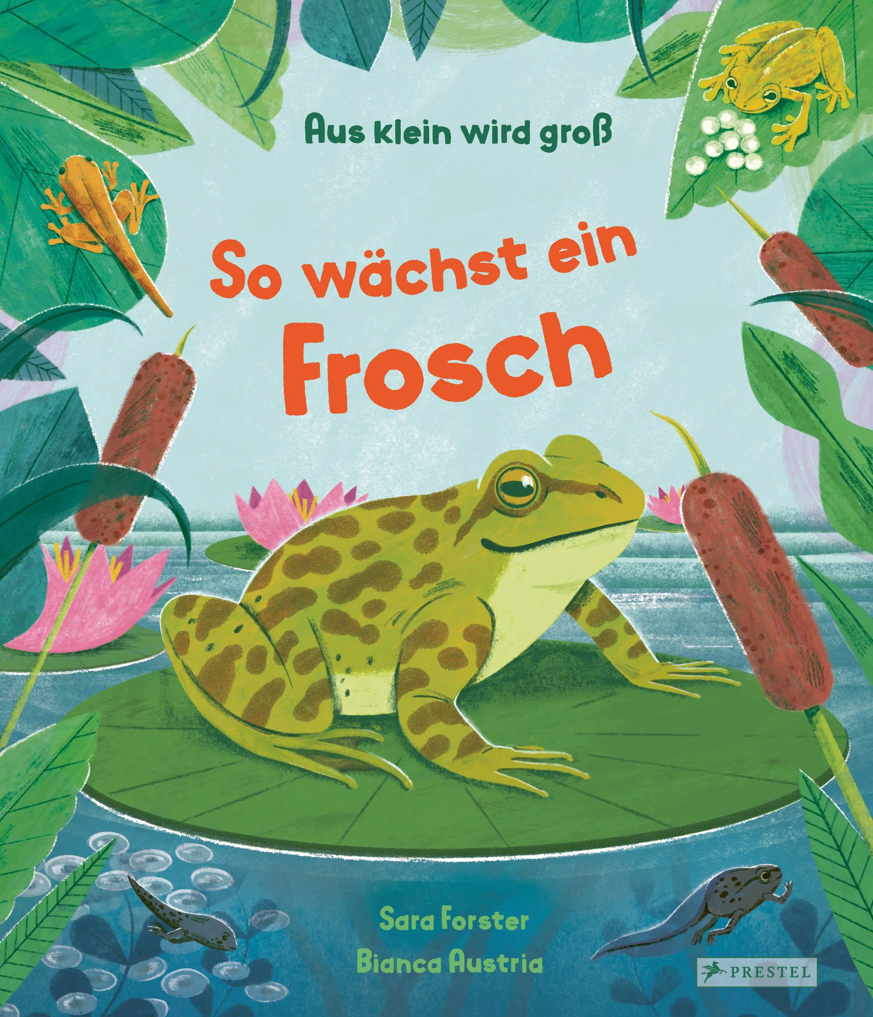 Cover: Aus klein wird groß. So wächst ein Frosch (Hardcover) von Sara Forster