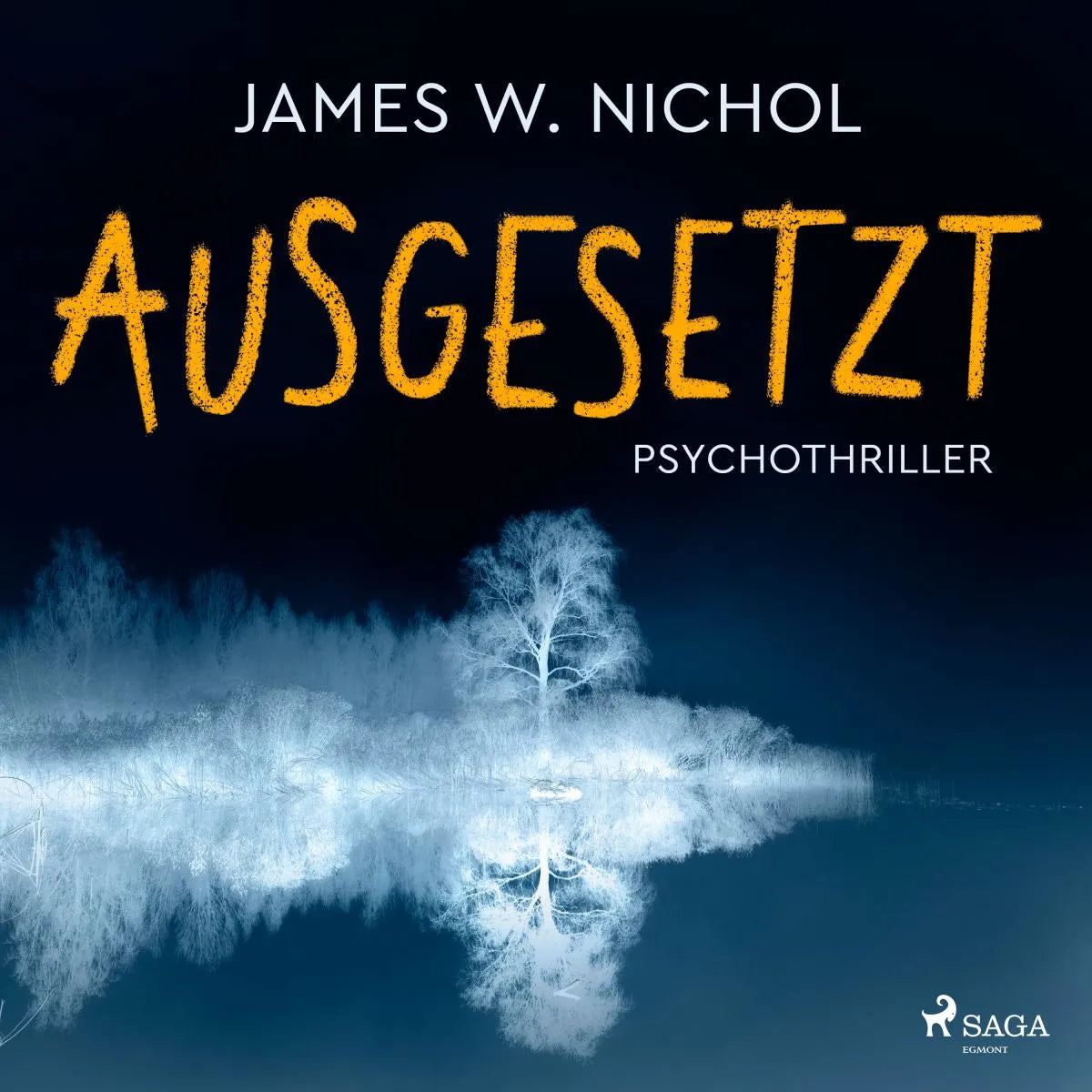 Cover: Ausgesetzt (Hörbuch Download) von James W. Nichol