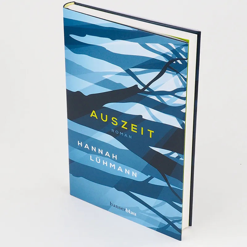 Produktansicht: Auszeit (Gebundene Ausgabe)