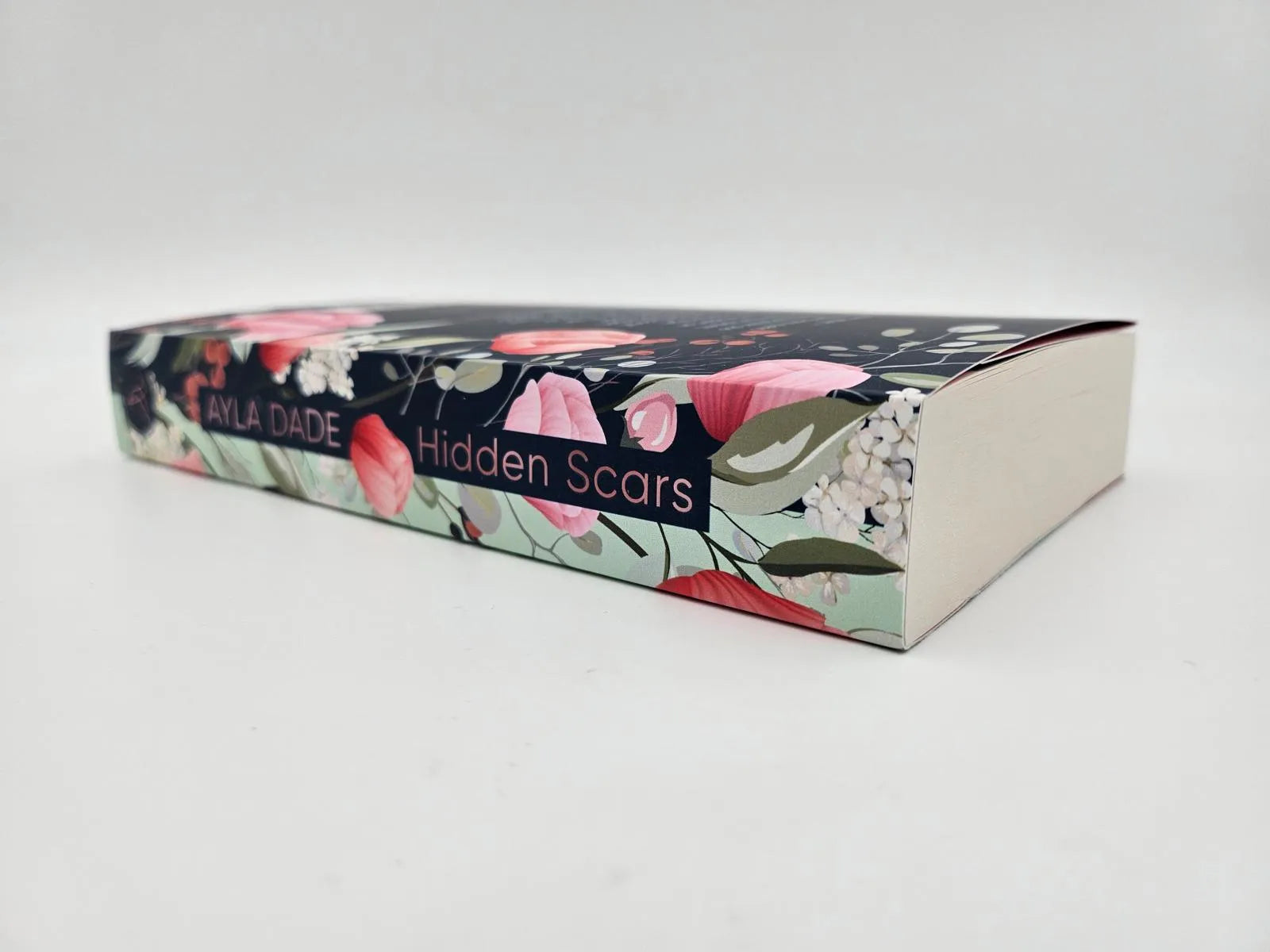 Produktansicht: Hidden Scars (Paperback)