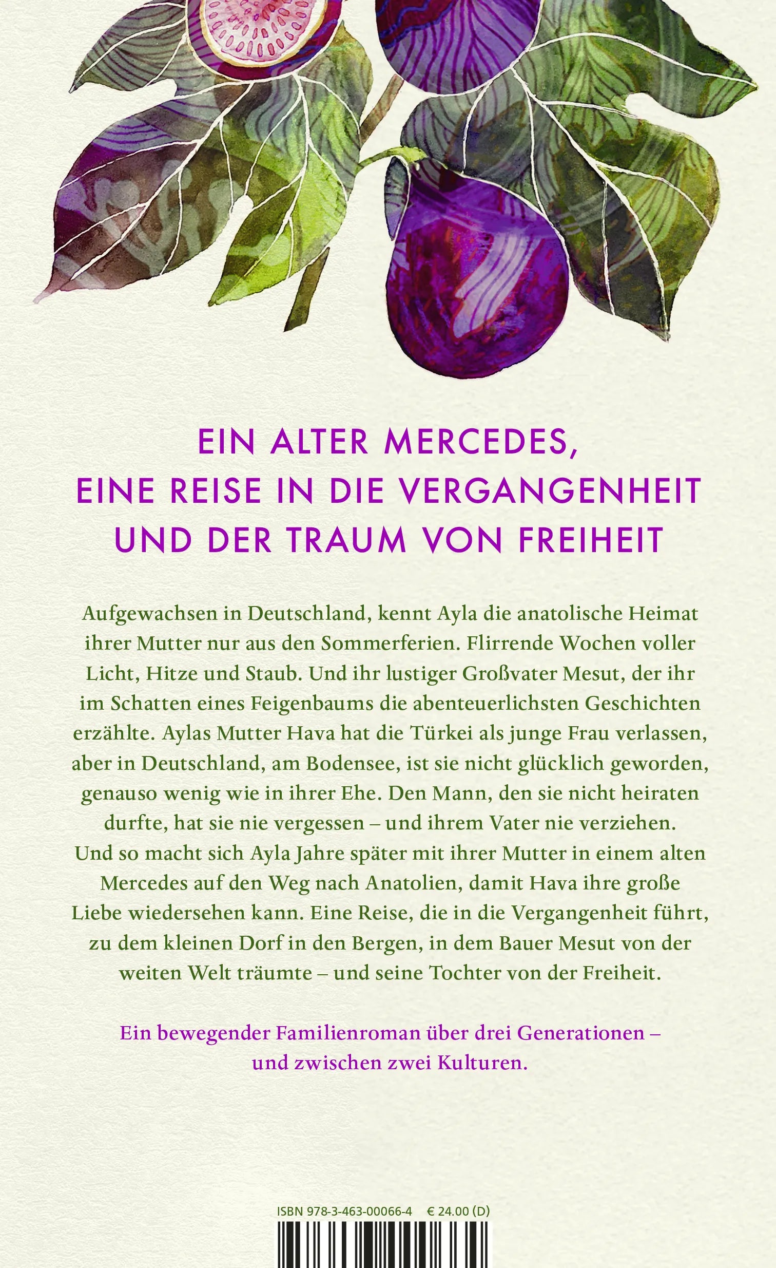 Buchrückseite von 'Aylas Lachen' mit Klappentext - Gebundene Ausgabe