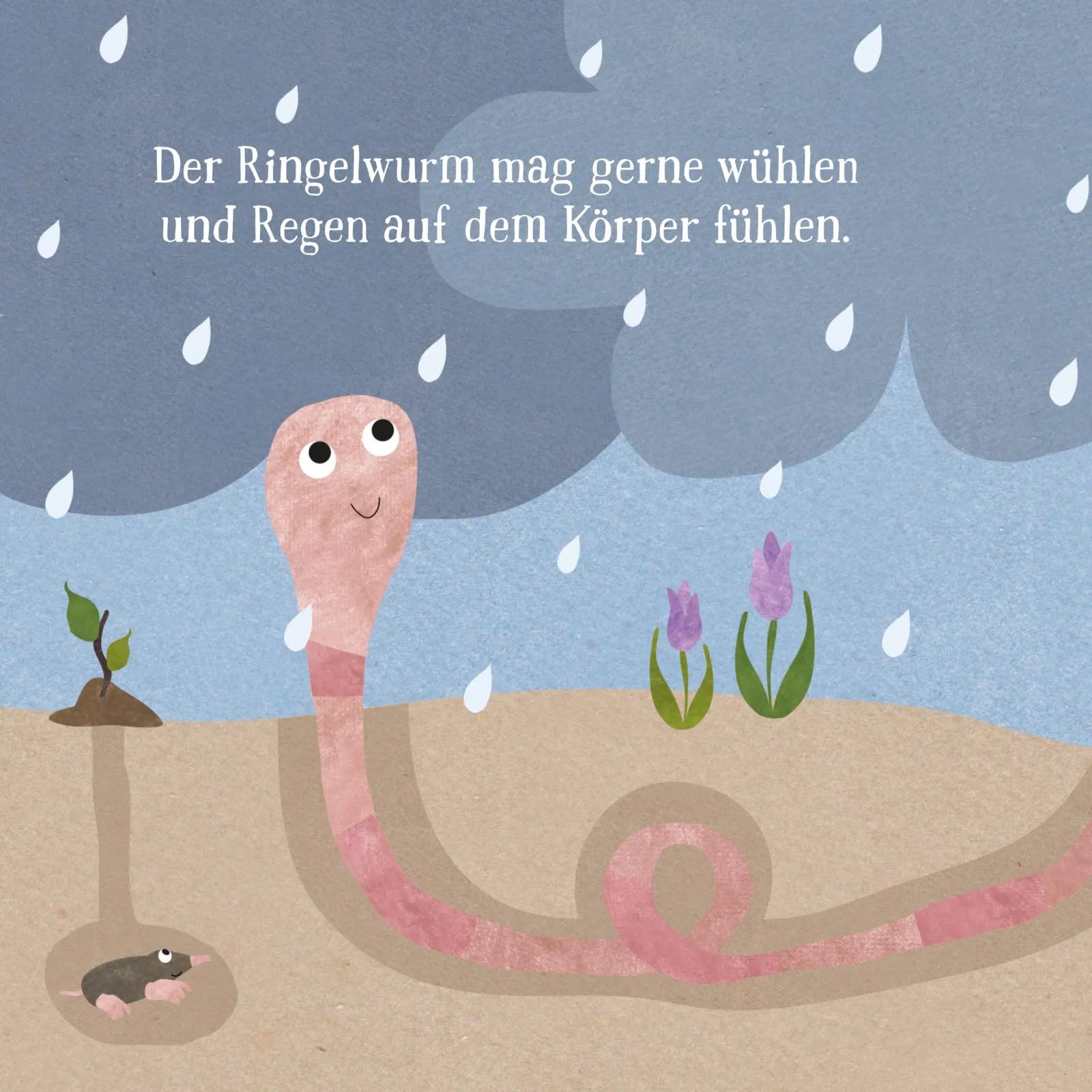Abbildung von 'Baby Pixi'