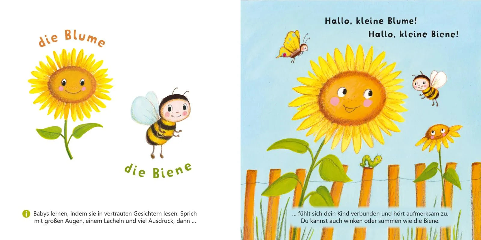 Abbildung von 'Baby Pixi'
