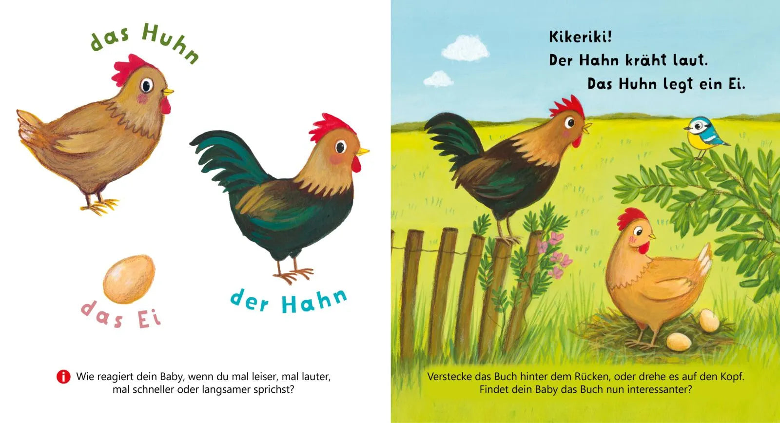 Produktansicht: Baby Pixi (Taschenbuch)