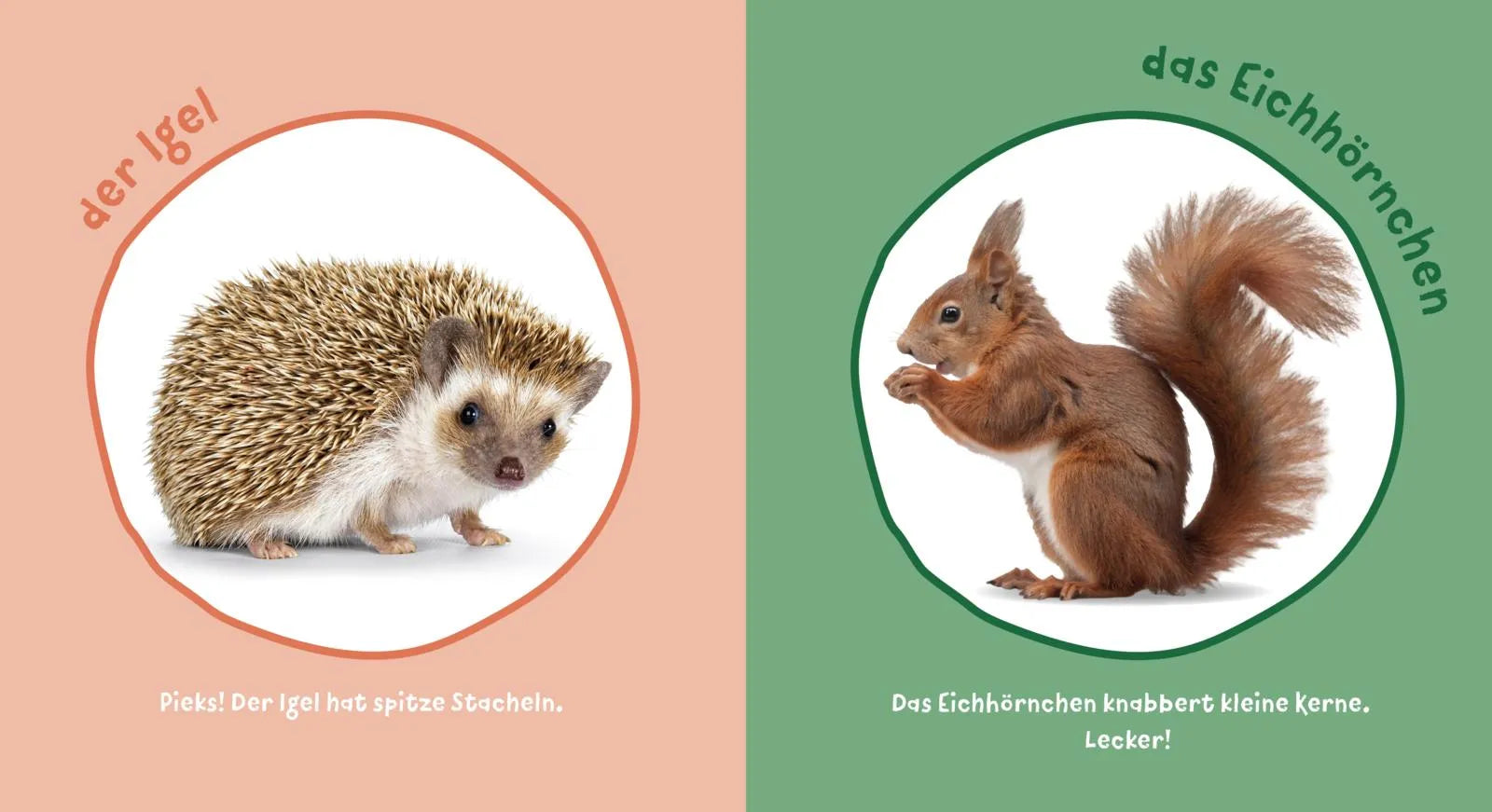 Detailansicht: Baby Pixi (Taschenbuch)