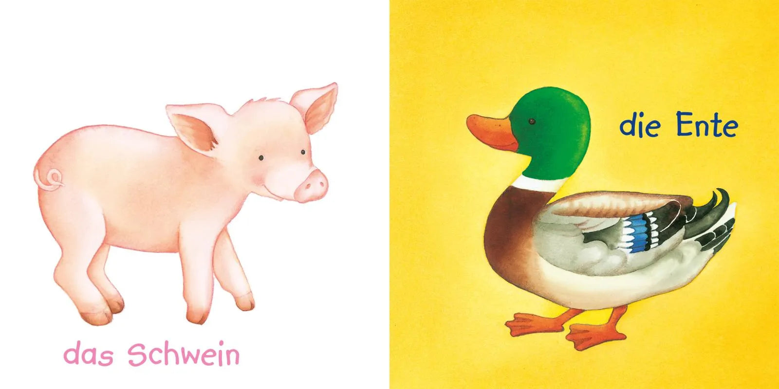 Abbildung von 'Baby Pixi'