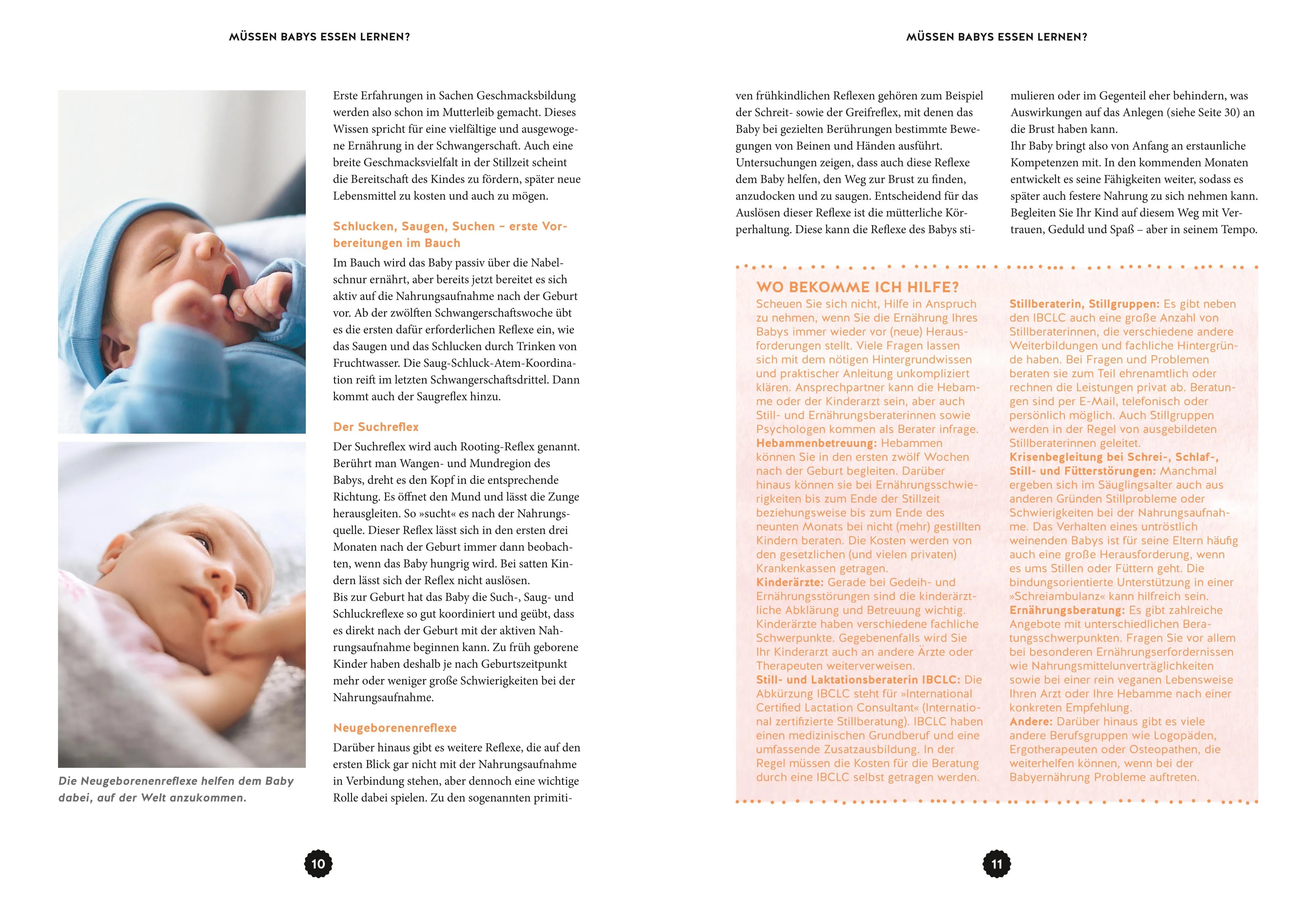 Produktansicht: Babyernährung (Gebundene Ausgabe)