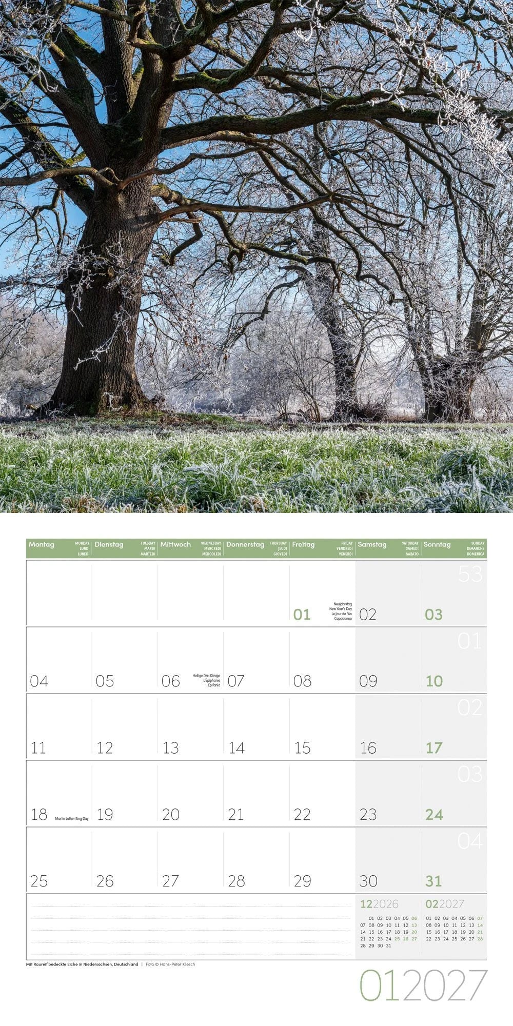 Bäume Kalender 2027 - 30x30 - Art12 – Ansicht