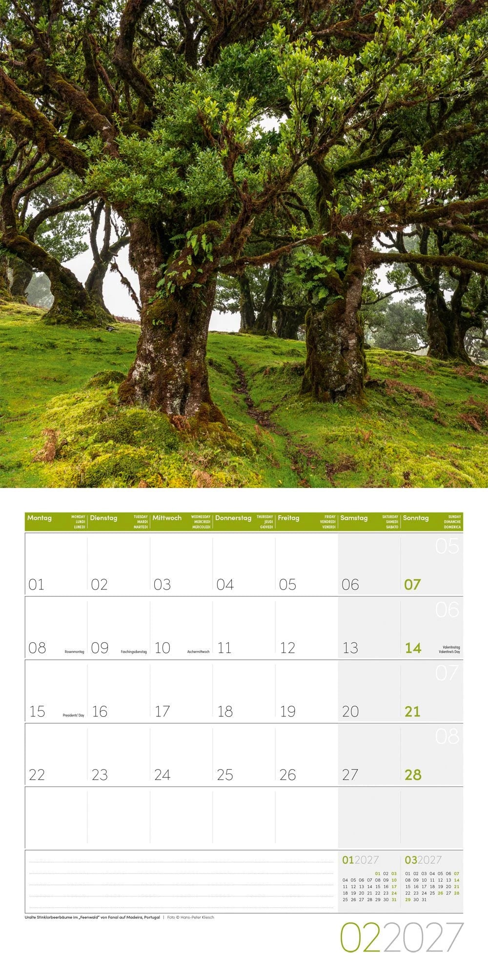 Bäume Kalender 2027 - 30x30 - Art12 – Ansicht