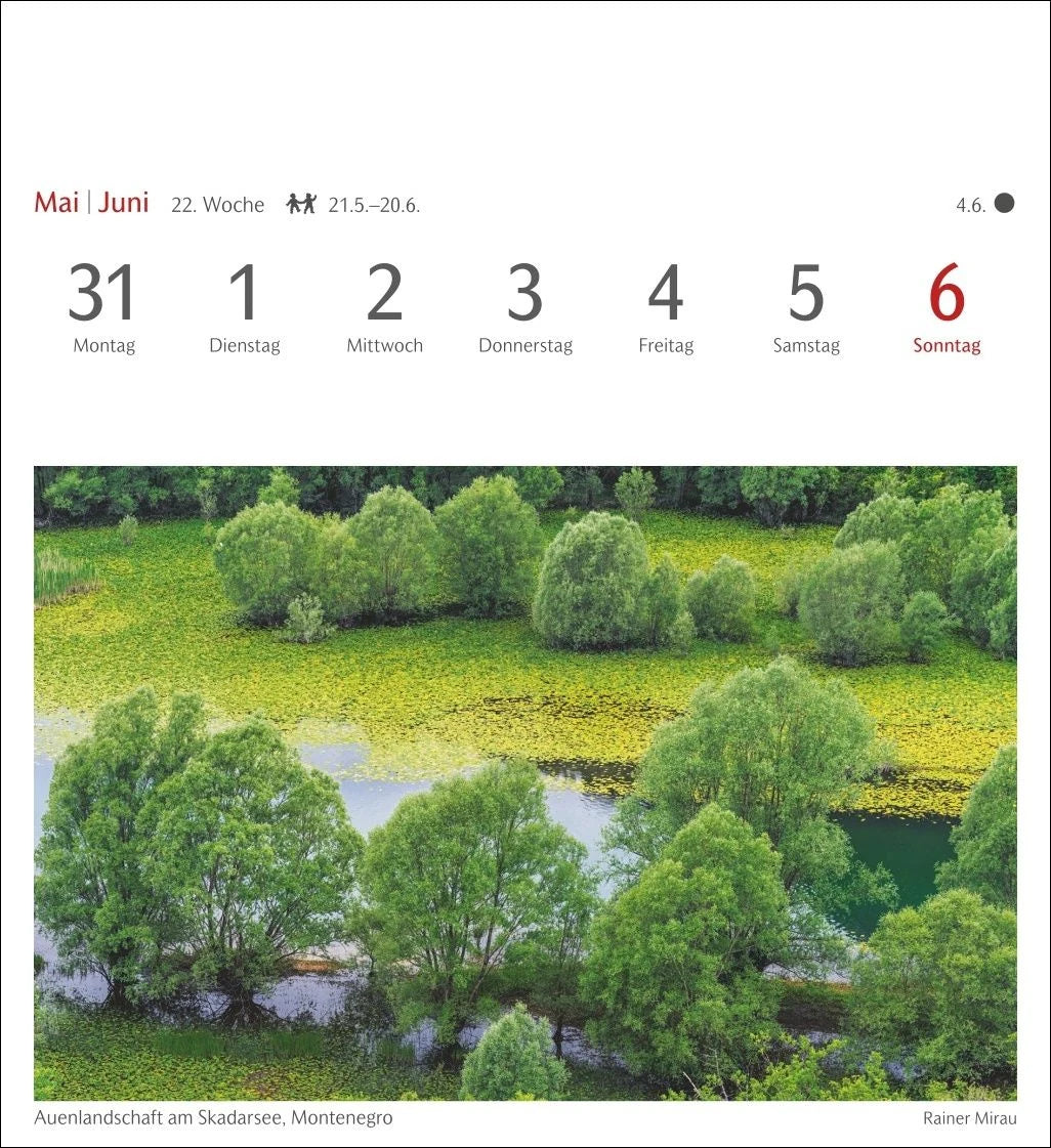 Bäume Postkartenkalender 2027 - Wochenkalender mit 53 Postkarten – Ansicht