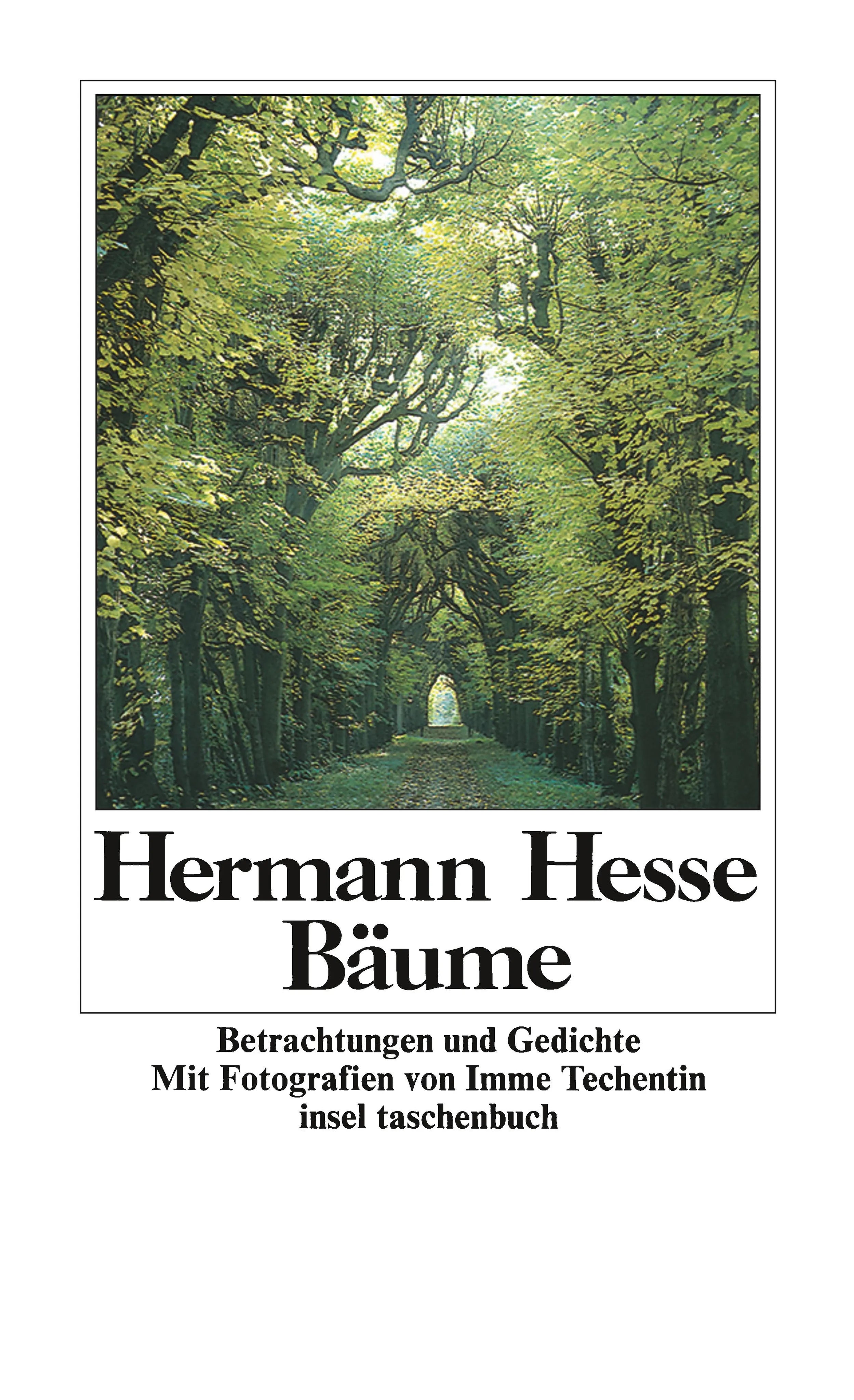 Buchcover von 'Bäume' - Taschenbuch von Hermann Hesse