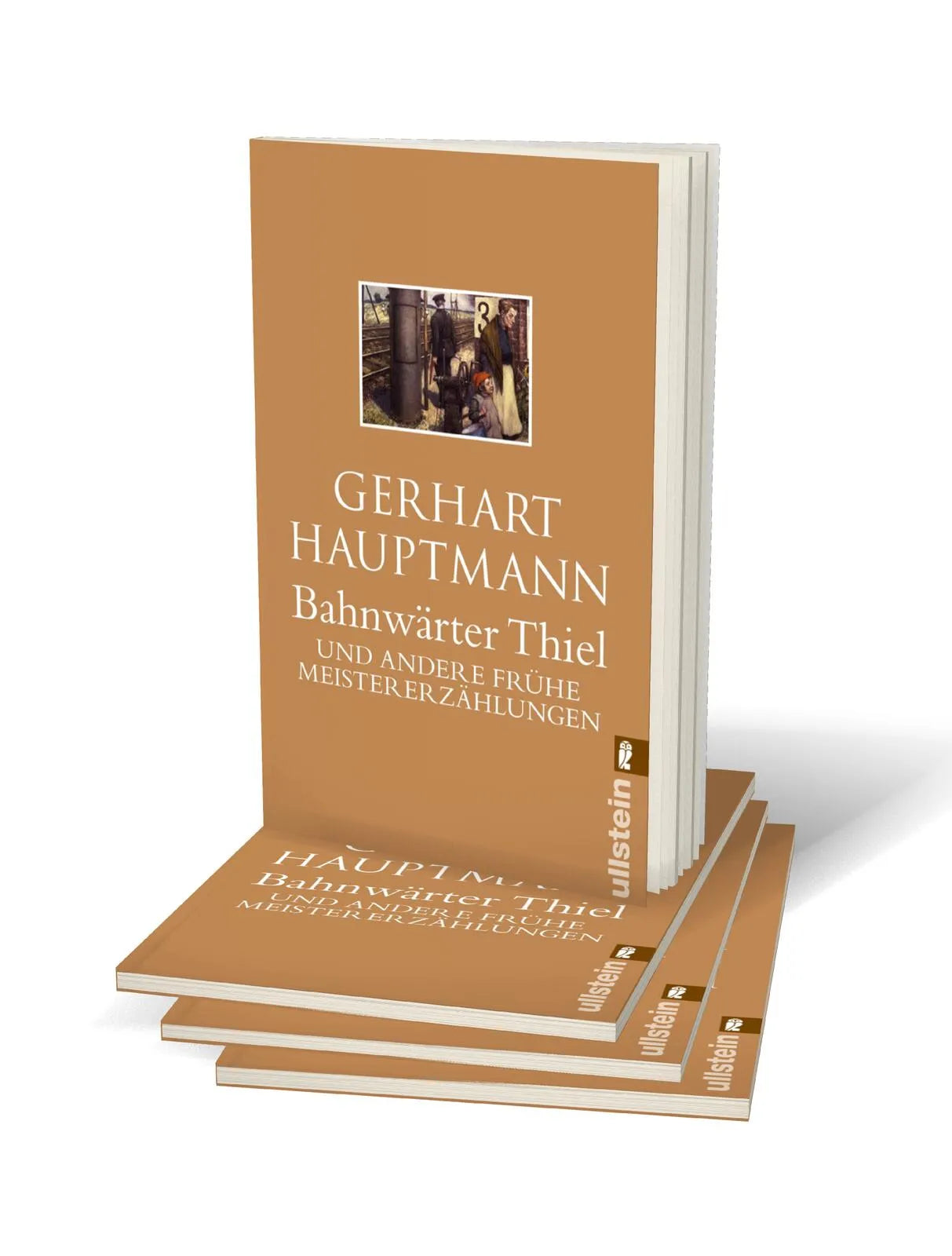Produktansicht: Bahnwärter Thiel (Taschenbuch)