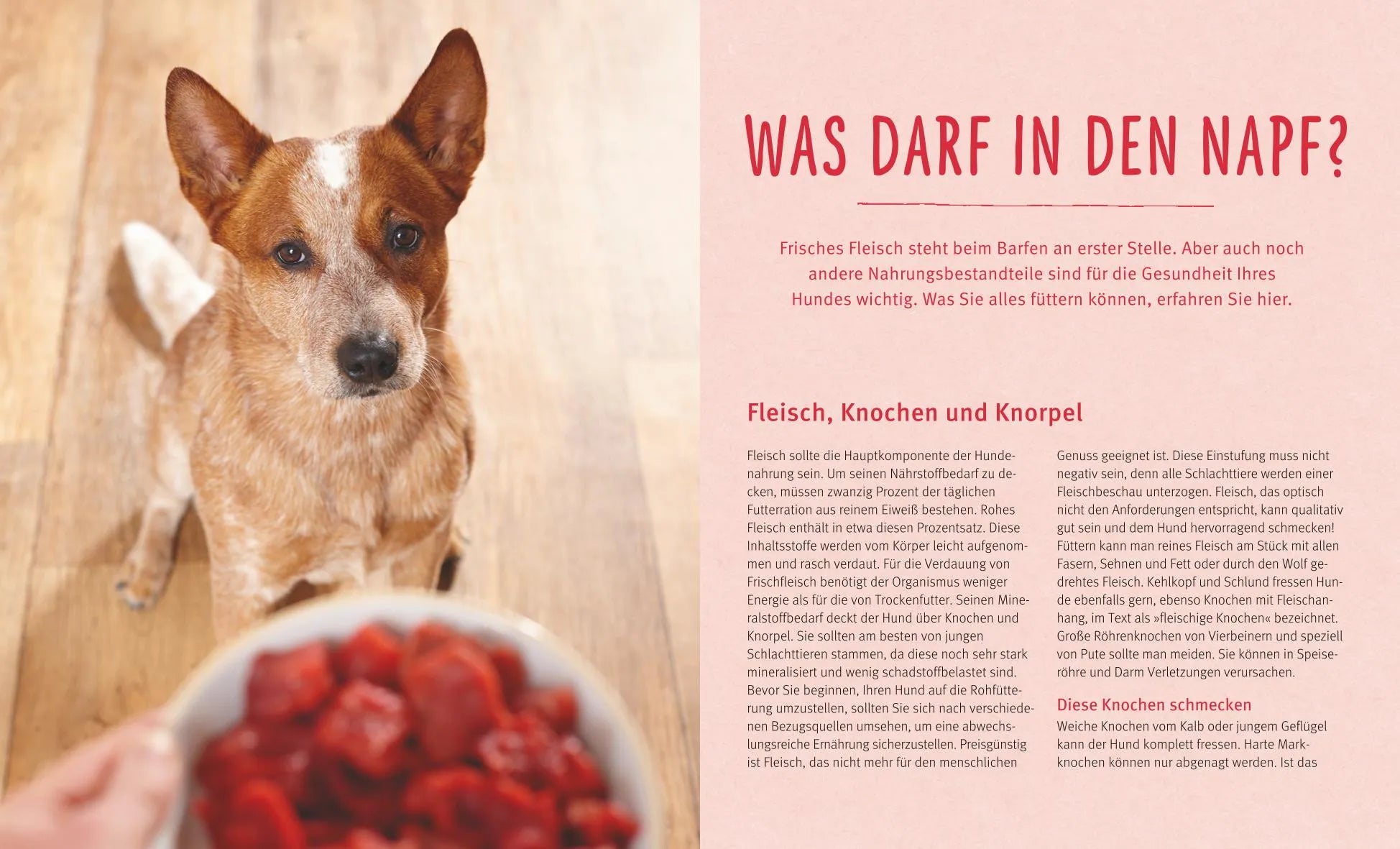 Marianne Kohtz-Walkemeyer - BARF für Hunde