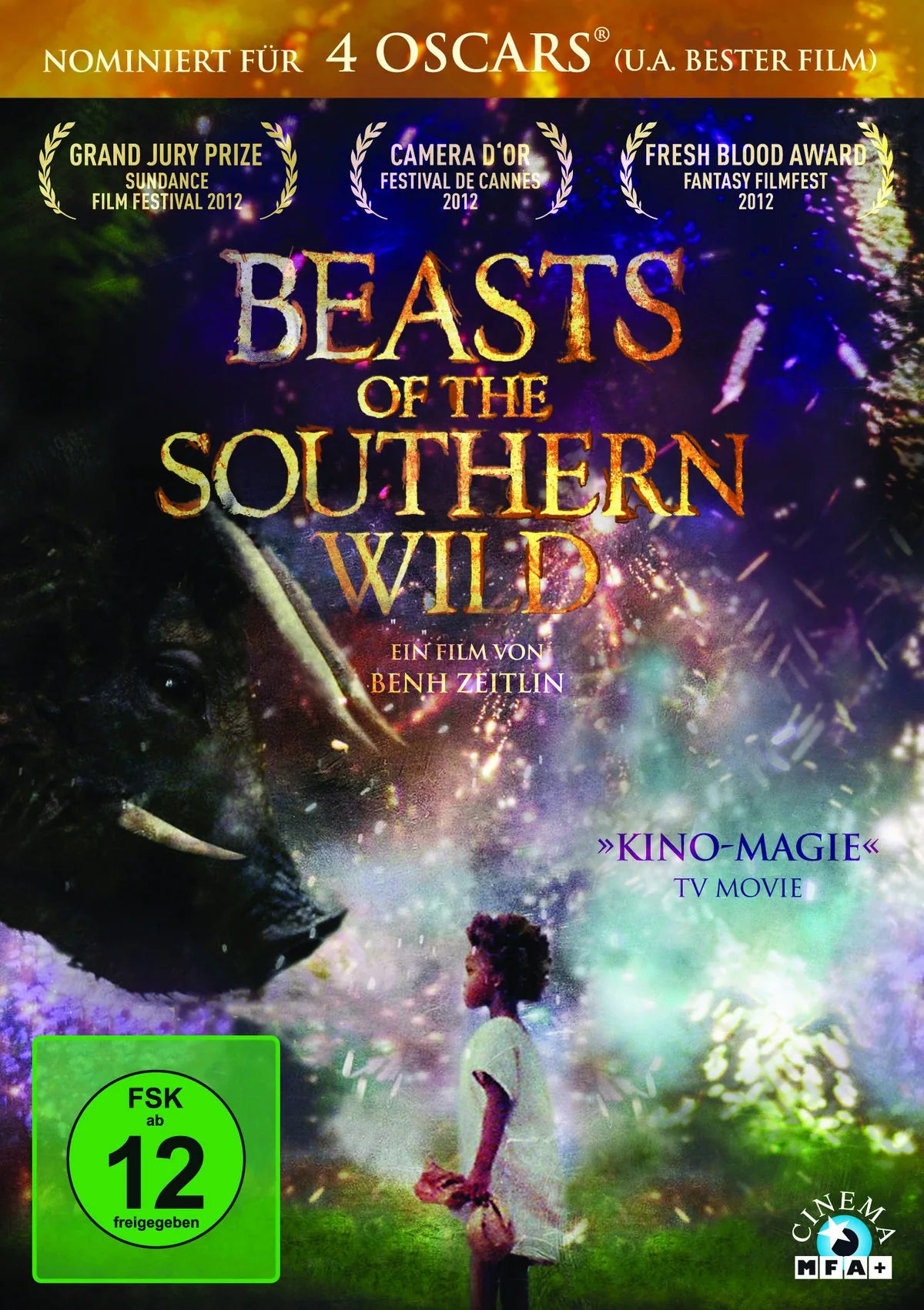 Beasts of the Southern Wild - DVD