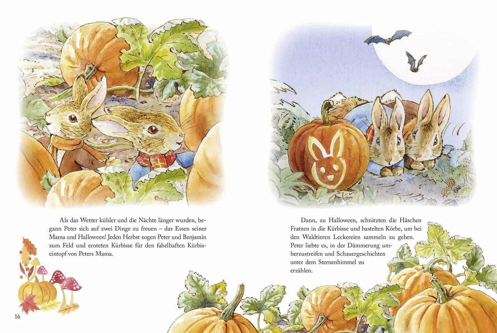 Produktansicht: Die Welt von Peter Hase - Erzähl doch mal von Peter Hase (Gebundene Ausgabe)