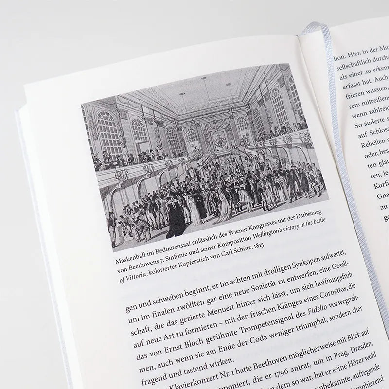 Produktansicht: Beethoven (Gebundene Ausgabe)