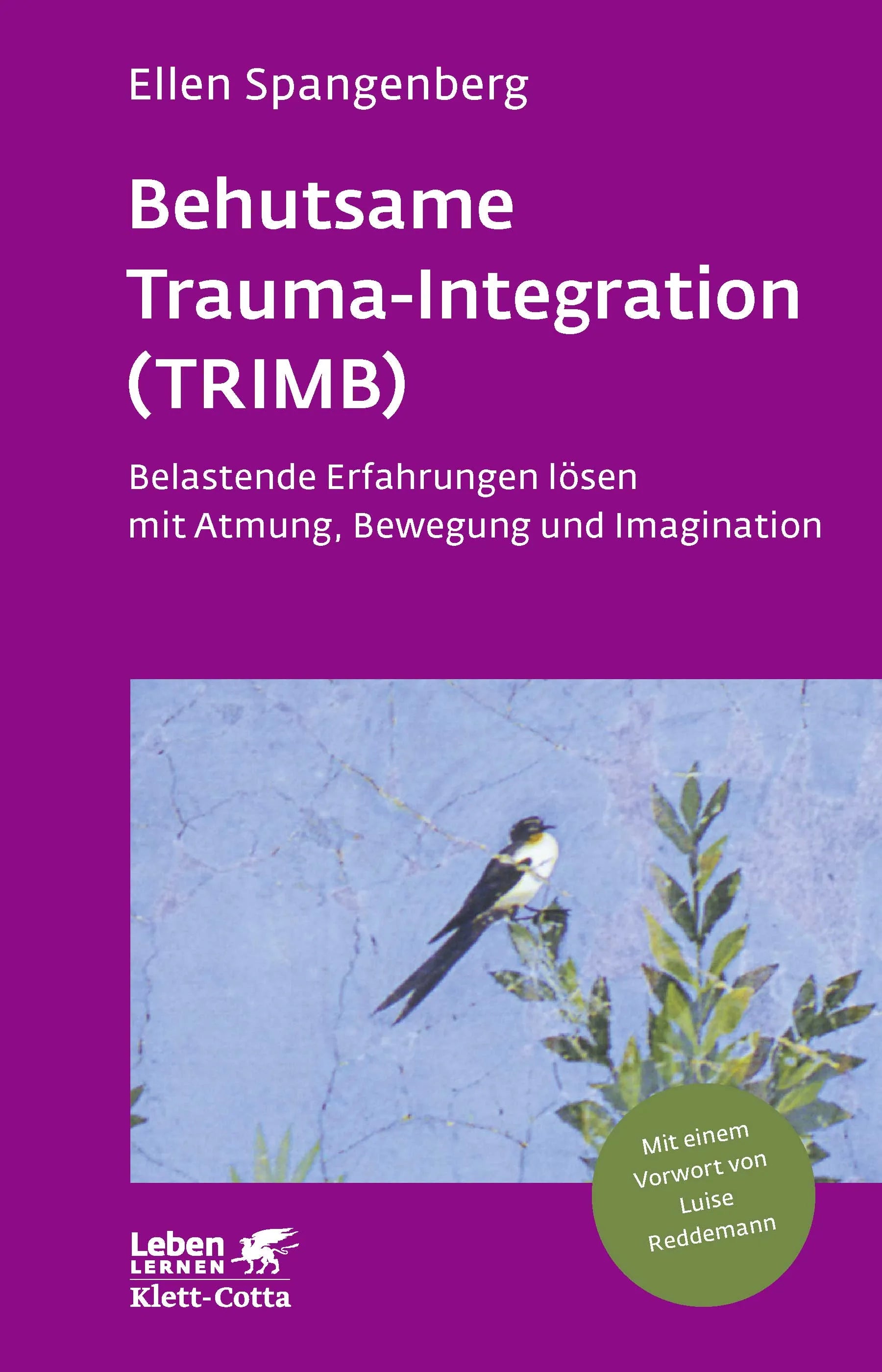 Buchcover von 'Behutsame Trauma-Integration' - Paperback von Ellen Spangenberg