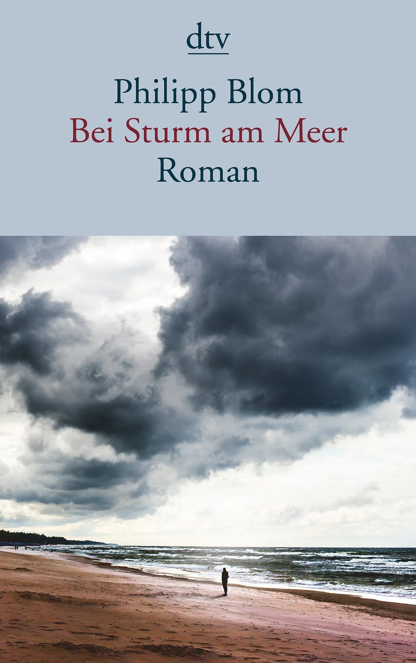 Buchcover von 'Bei Sturm am Meer' - Taschenbuch von Philipp Blom