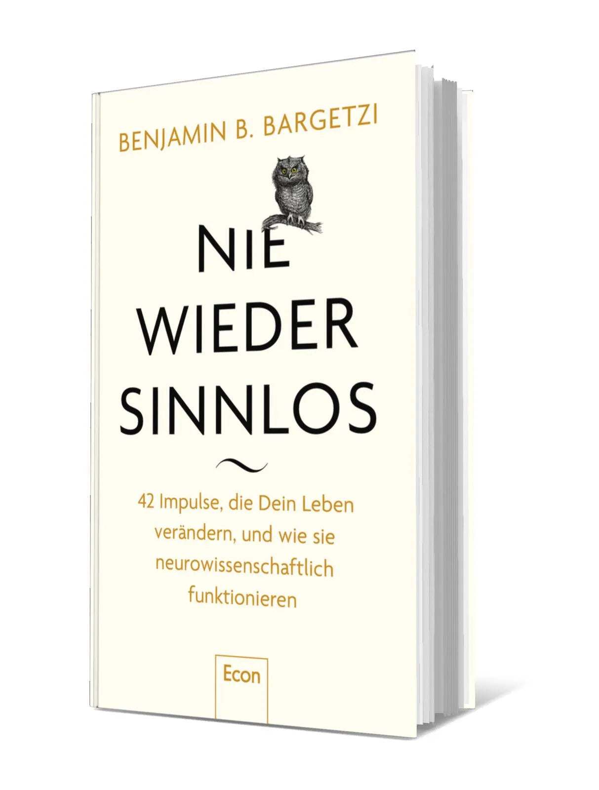 Produktansicht: Nie wieder sinnlos (Gebundene Ausgabe)