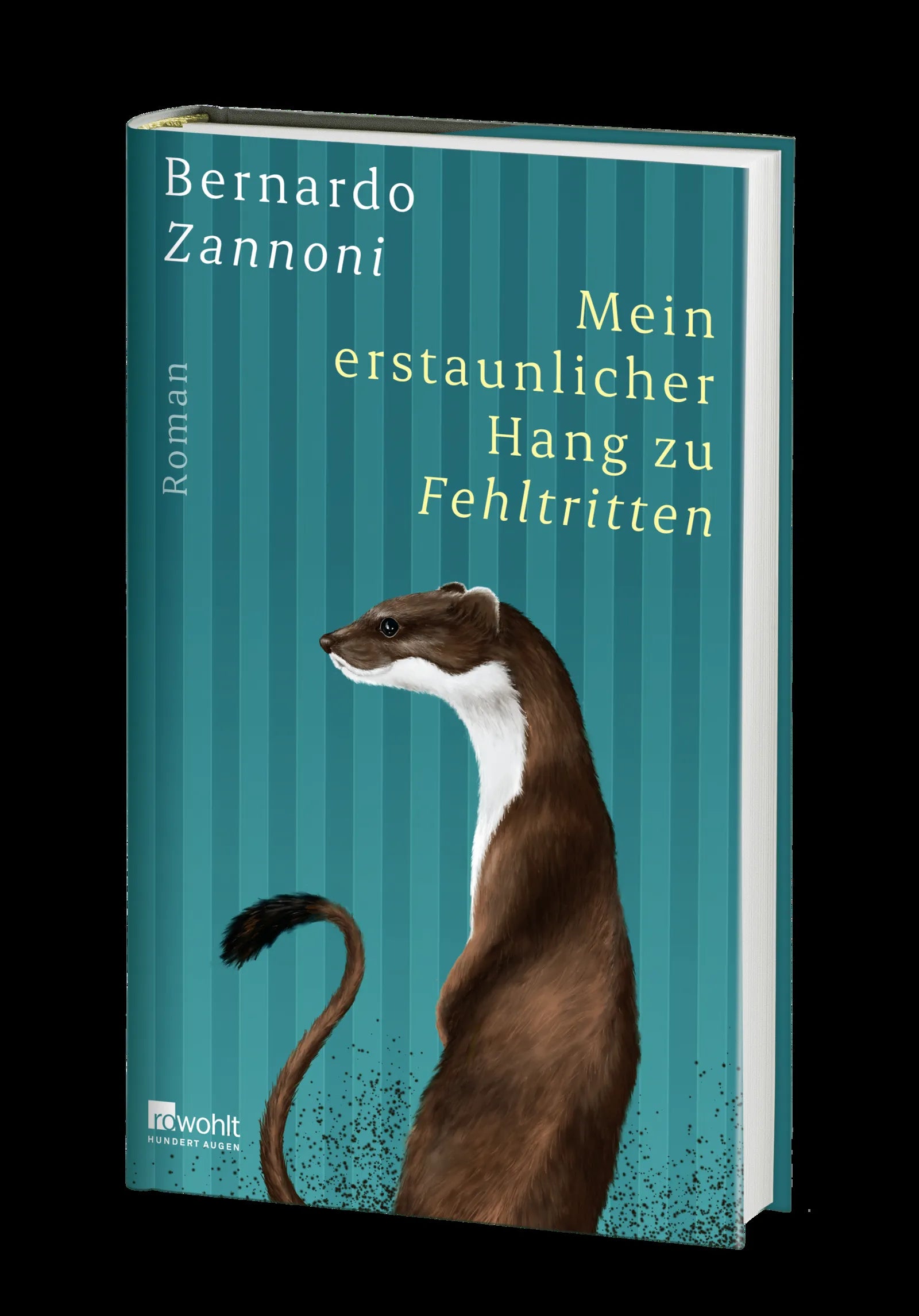 Produktansicht: Mein erstaunlicher Hang zu Fehltritten (Gebundene Ausgabe)