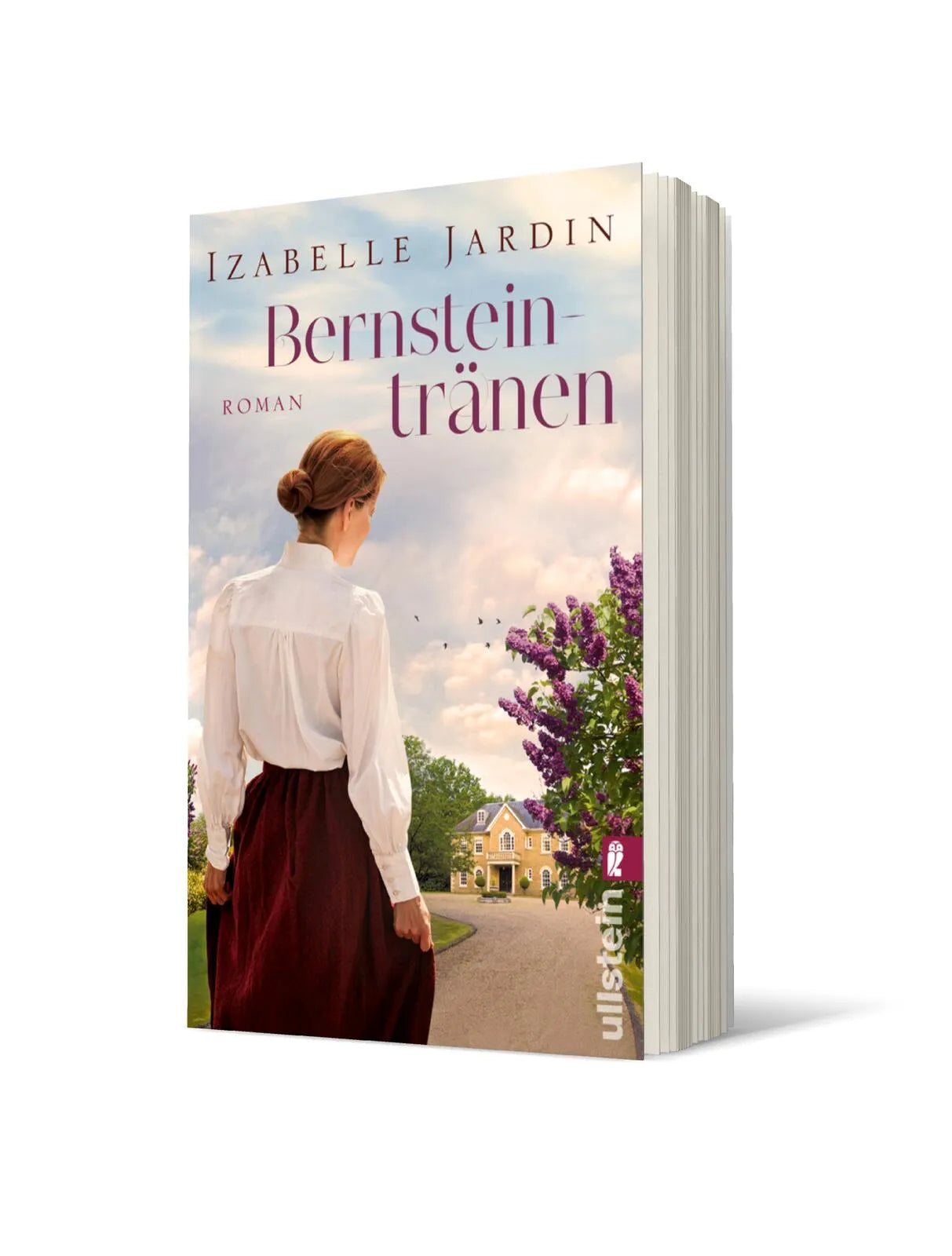 Produktansicht: Bernsteintränen (Taschenbuch)