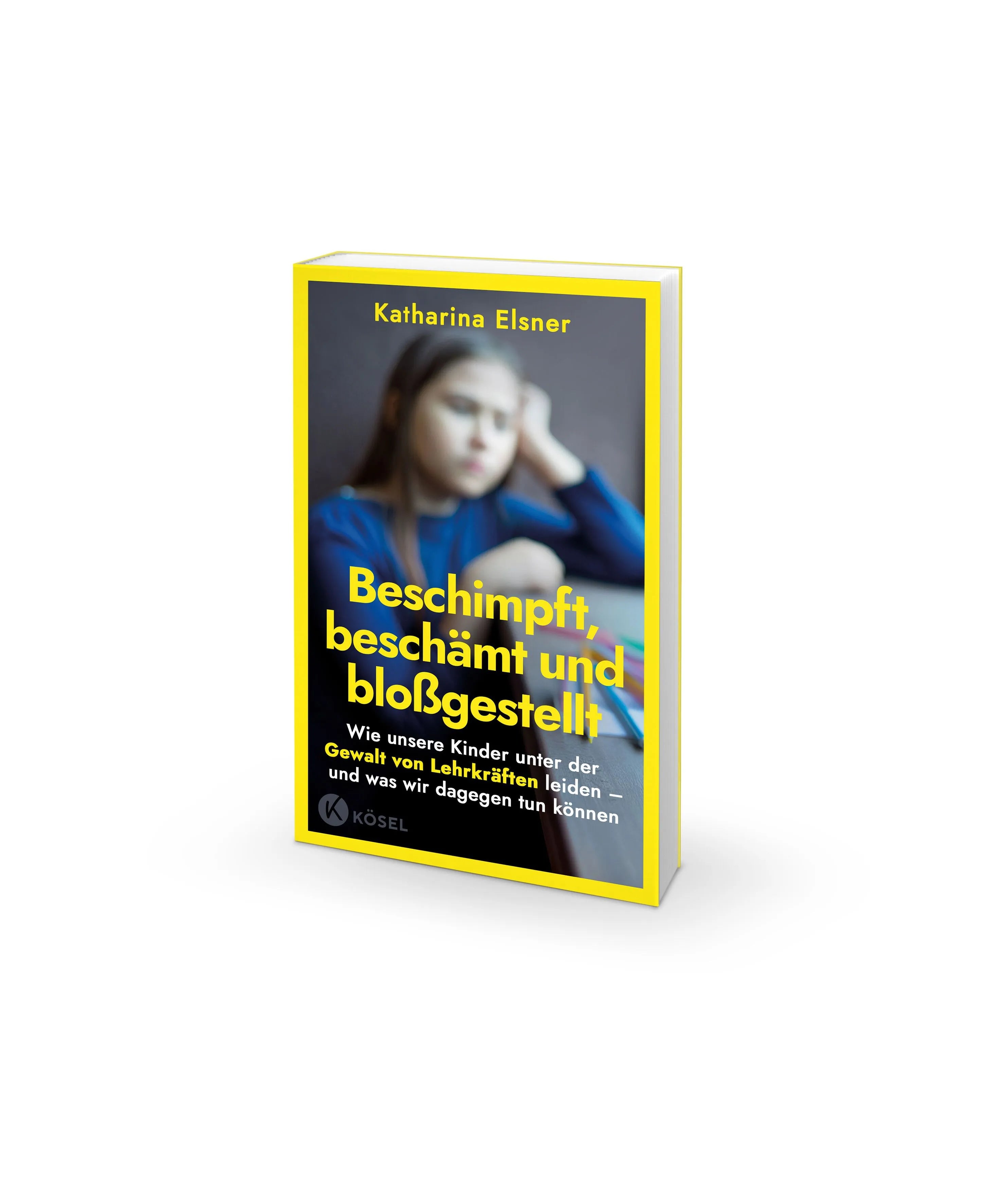 Detailansicht: Beschimpft, beschämt und bloßgestellt (Hardcover)