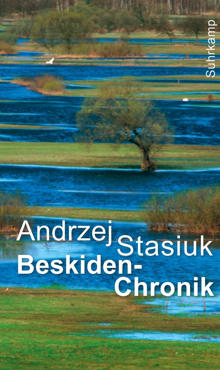 Buchcover von 'Beskiden-Chronik' - Gebundene Ausgabe von Andrzej Stasiuk