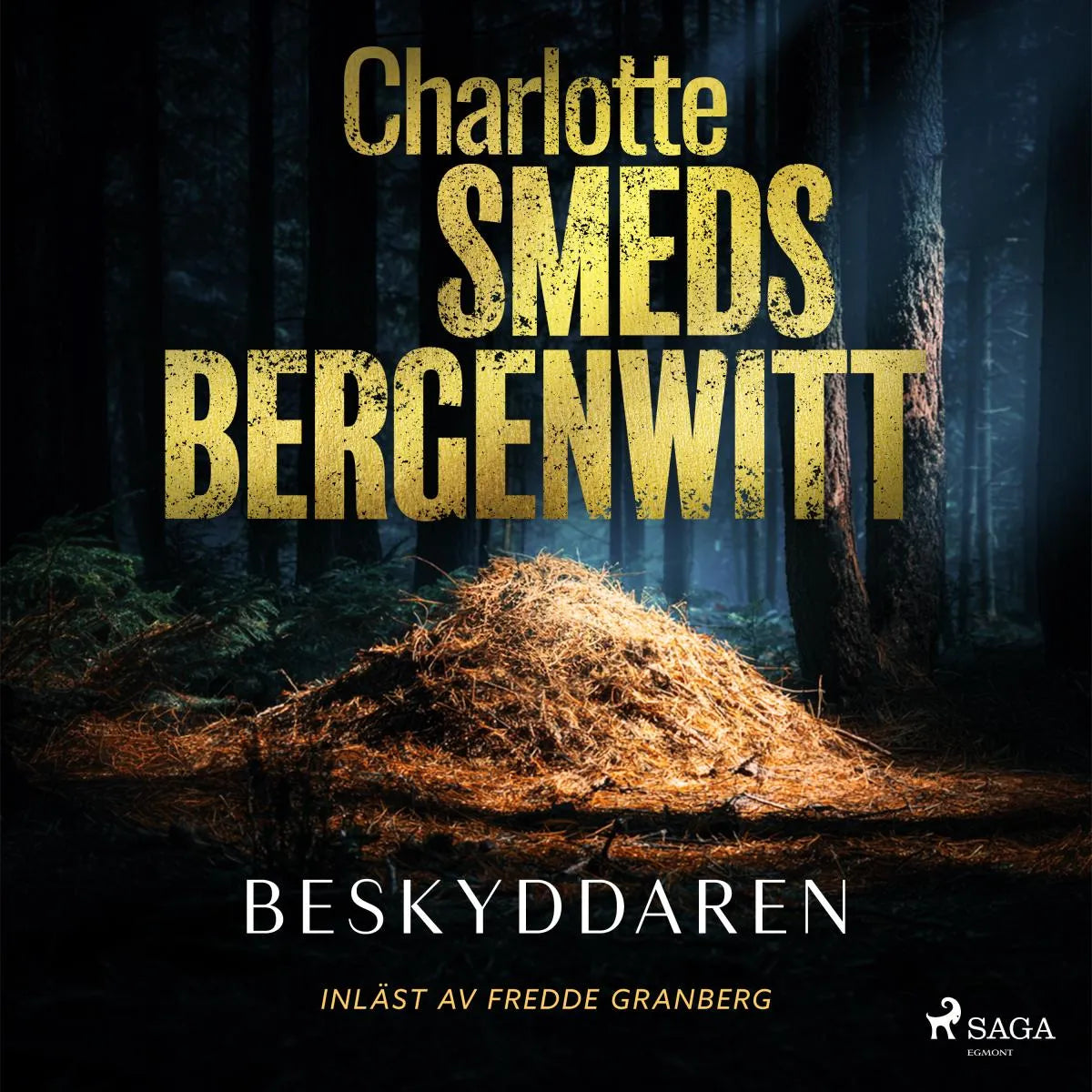 Cover: Beskyddaren (Hörbuch Download) von Charlotte Smeds Bergenwitt