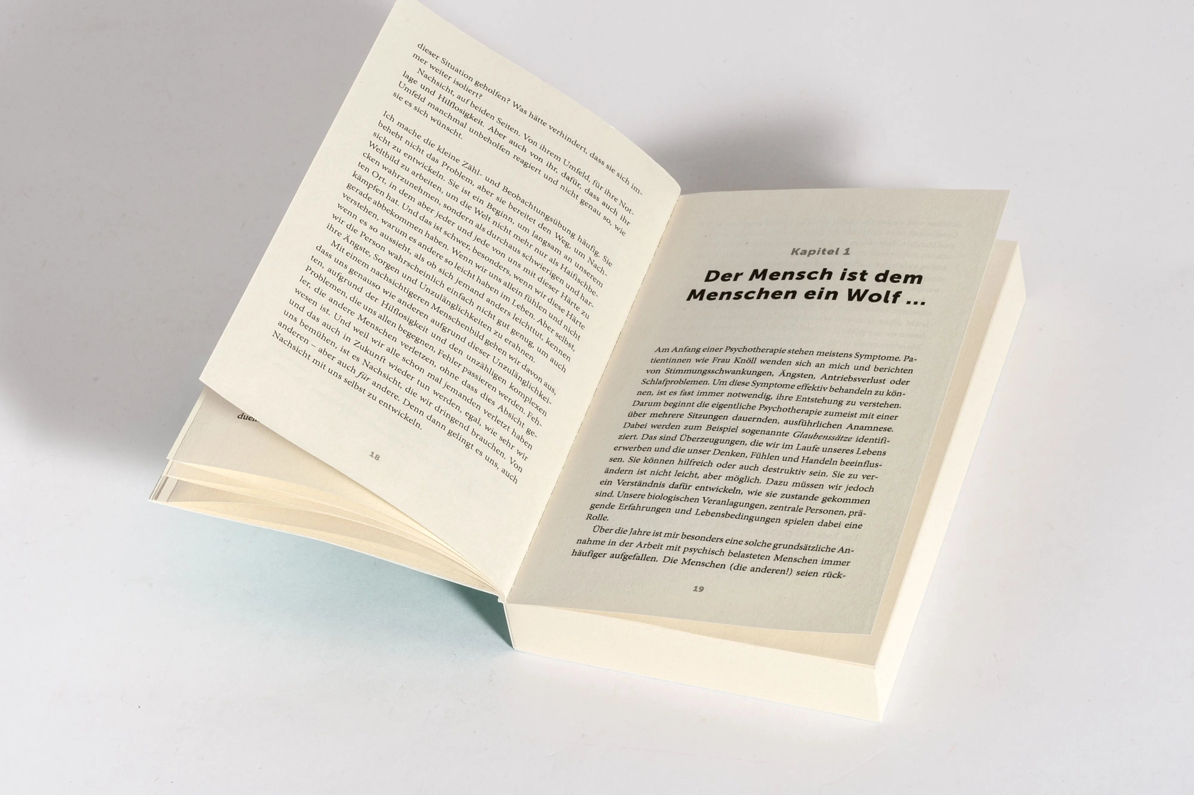 Detailansicht: Besser als du denkst (Taschenbuch)