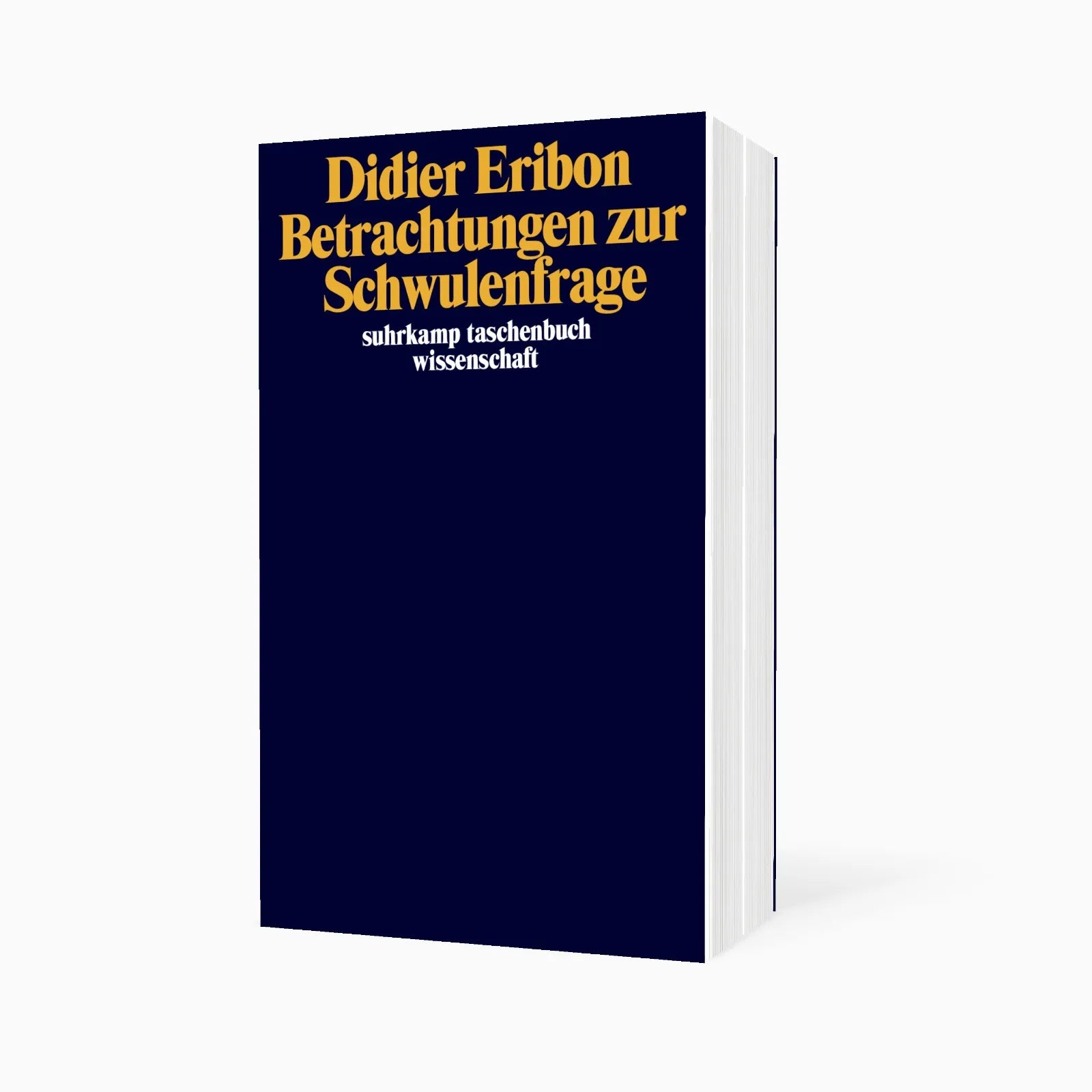 Detailansicht: Betrachtungen zur Schwulenfrage (Taschenbuch)