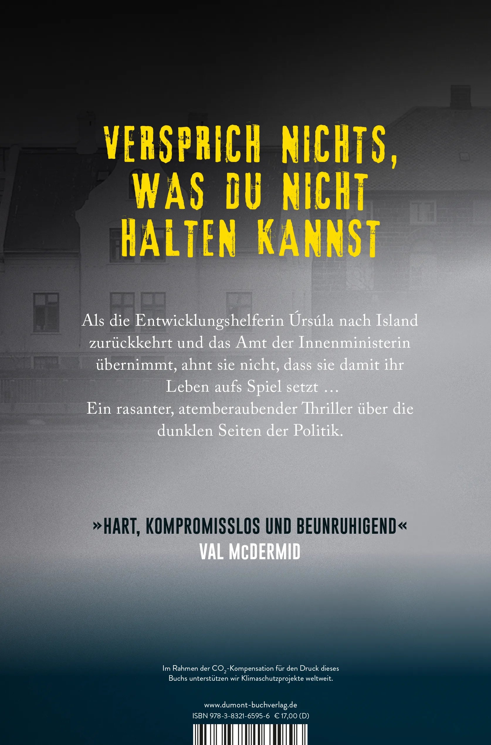 Buchrückseite von 'Betrug' mit Klappentext - Paperback