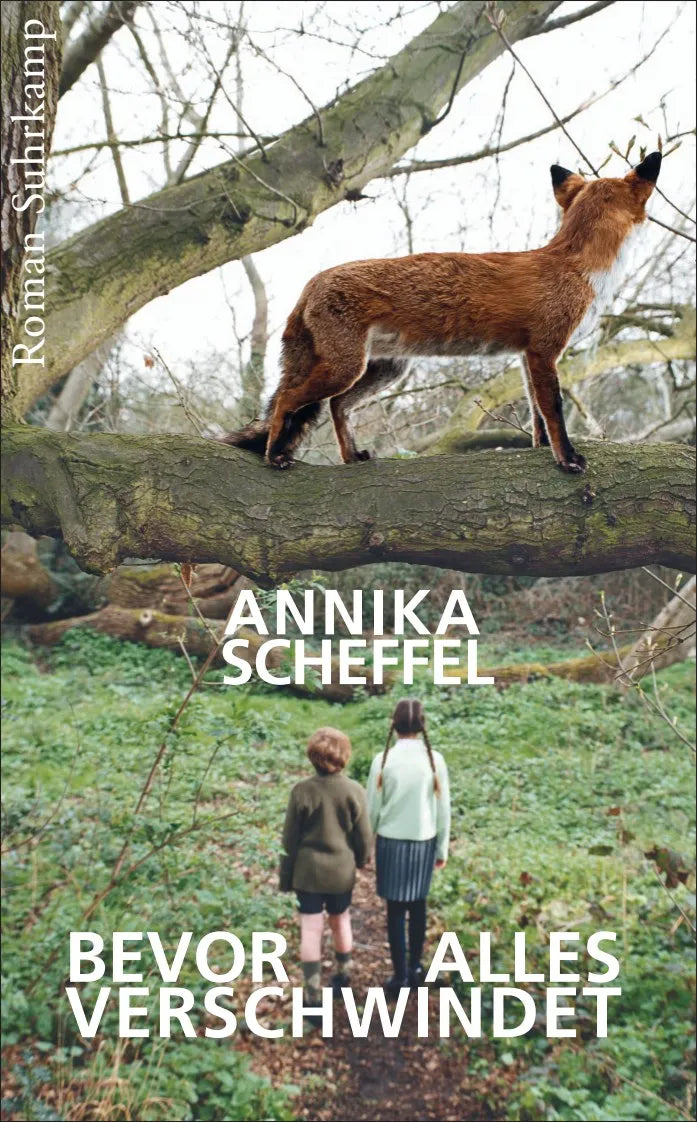 Buchcover von 'Bevor alles verschwindet' - Taschenbuch von Annika Scheffel
