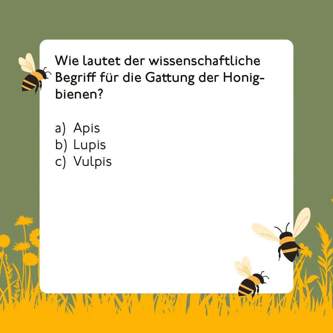 Bienen-Quiz – Ansicht