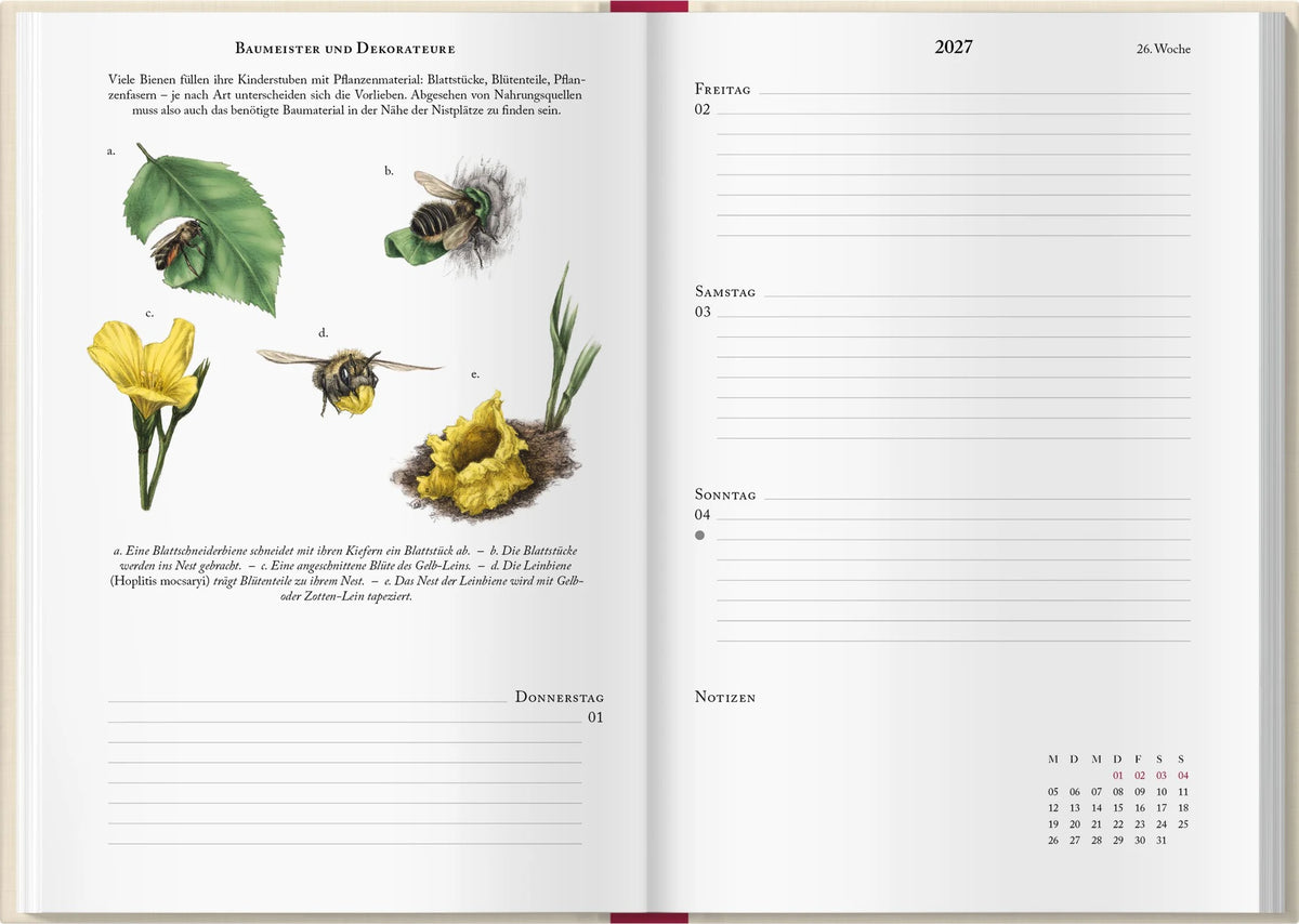 Bienenkalender 2027 – Ansicht