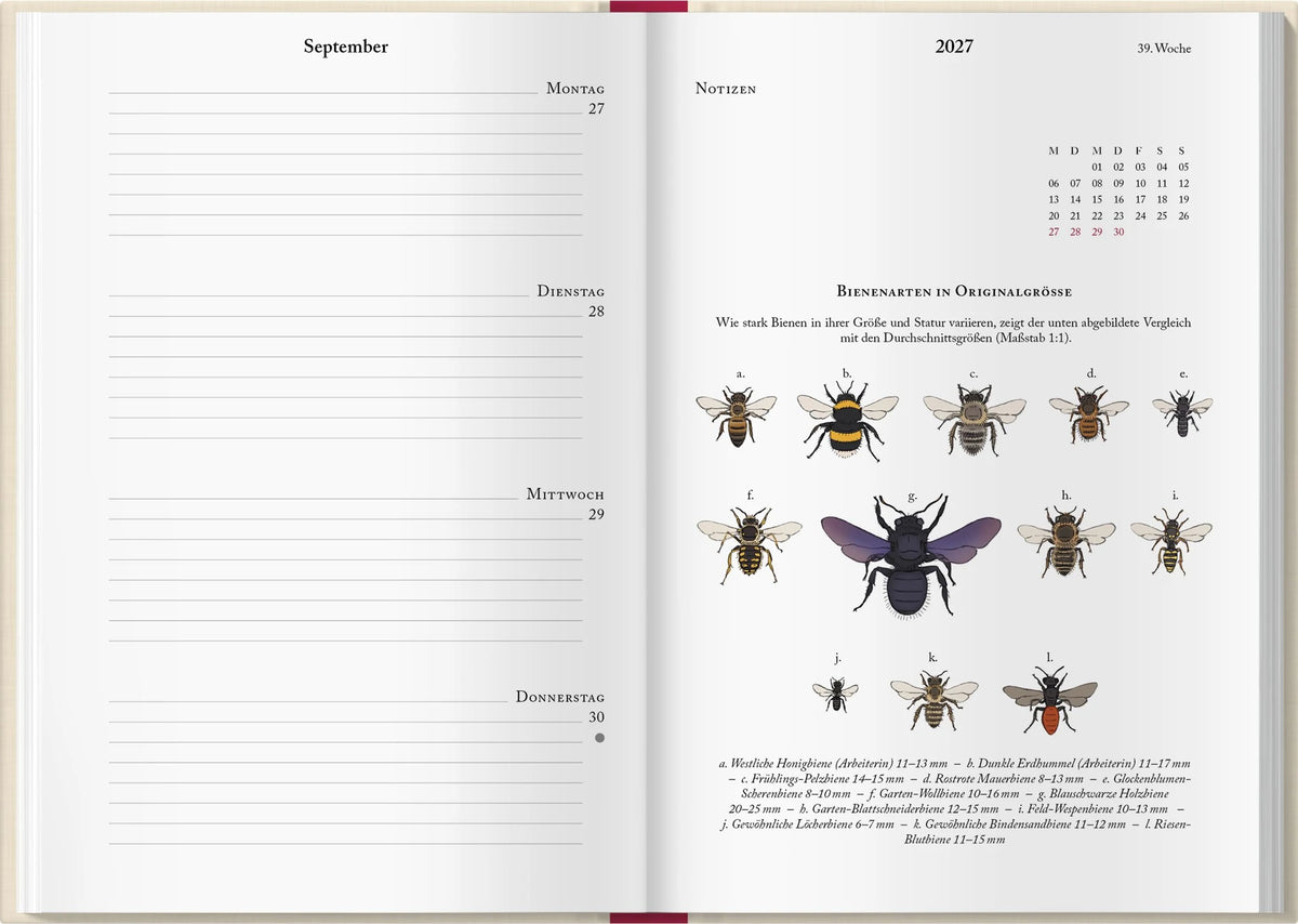 Bienenkalender 2027 – Ansicht