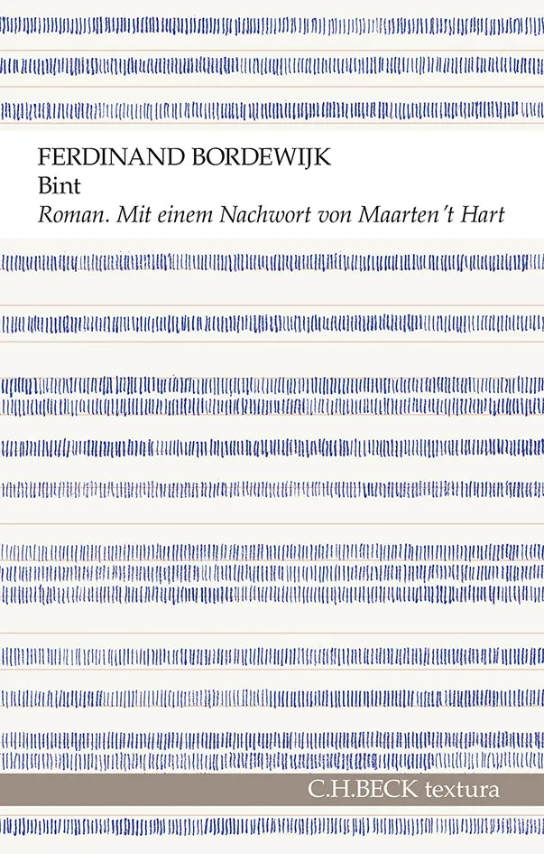 Buchcover von 'Bint' - Taschenbuch von Ferdinand Bordewijk