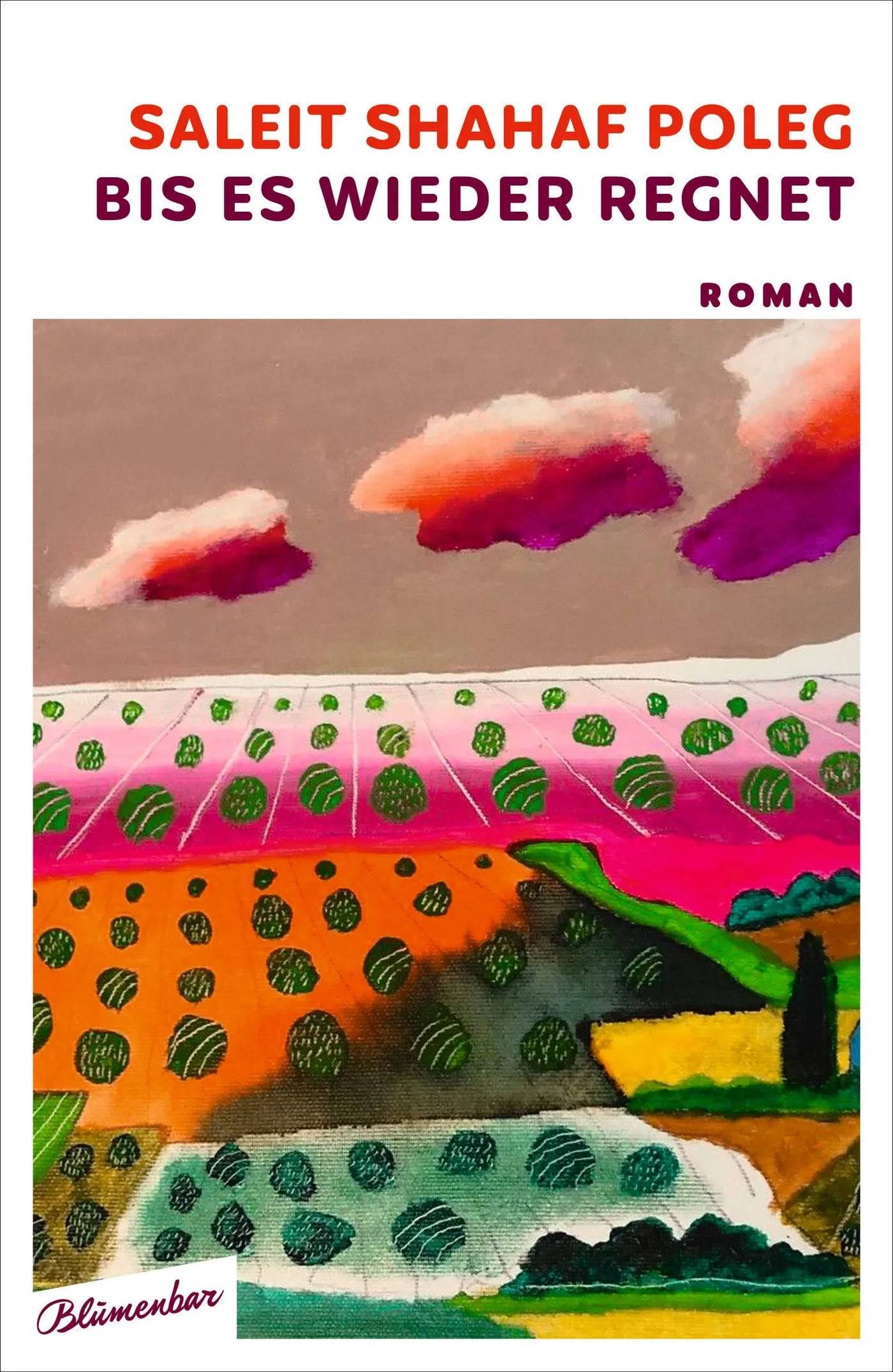 Buchcover von 'Bis es wieder regnet' - Gebundene Ausgabe von Saleit Shahaf Poleg