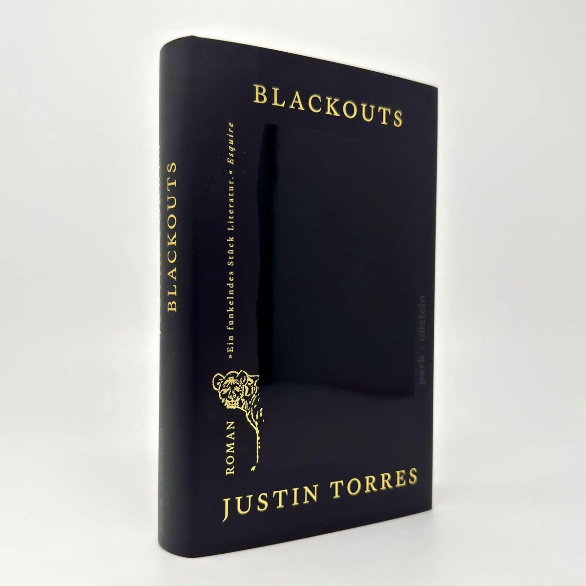 Abbildung von 'Blackouts'