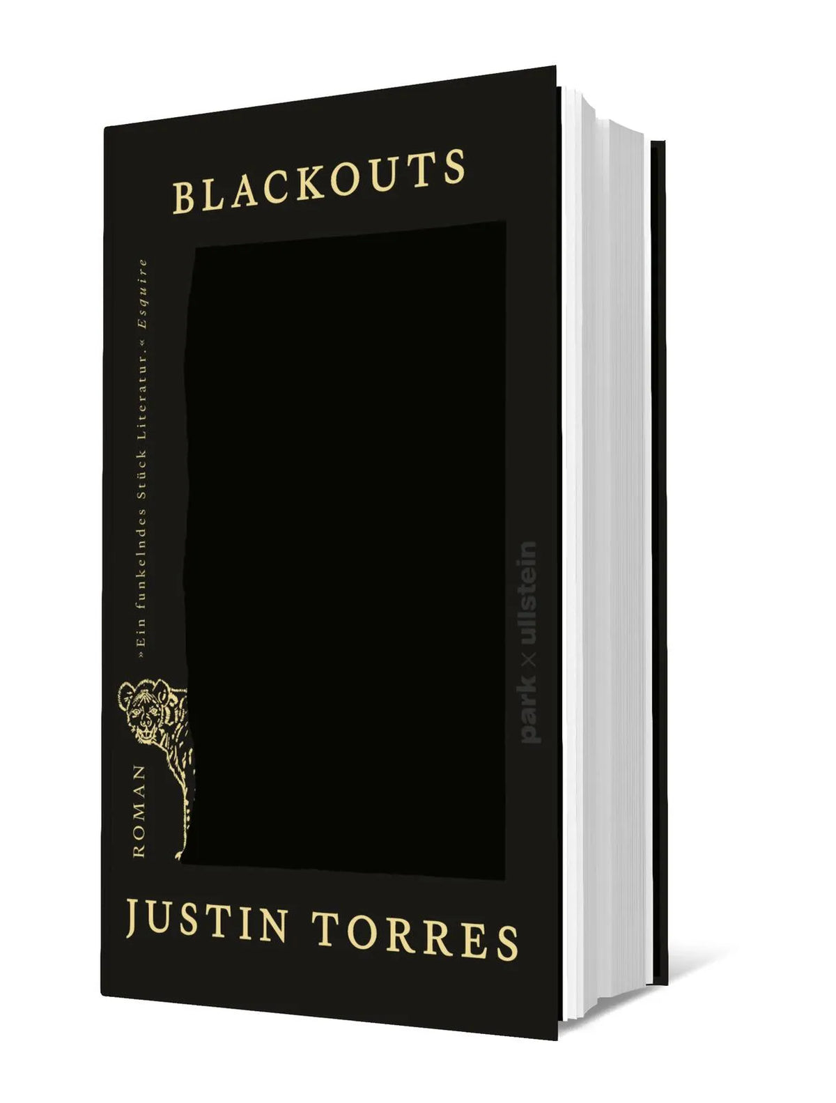 Produktansicht: Blackouts (Gebundene Ausgabe)